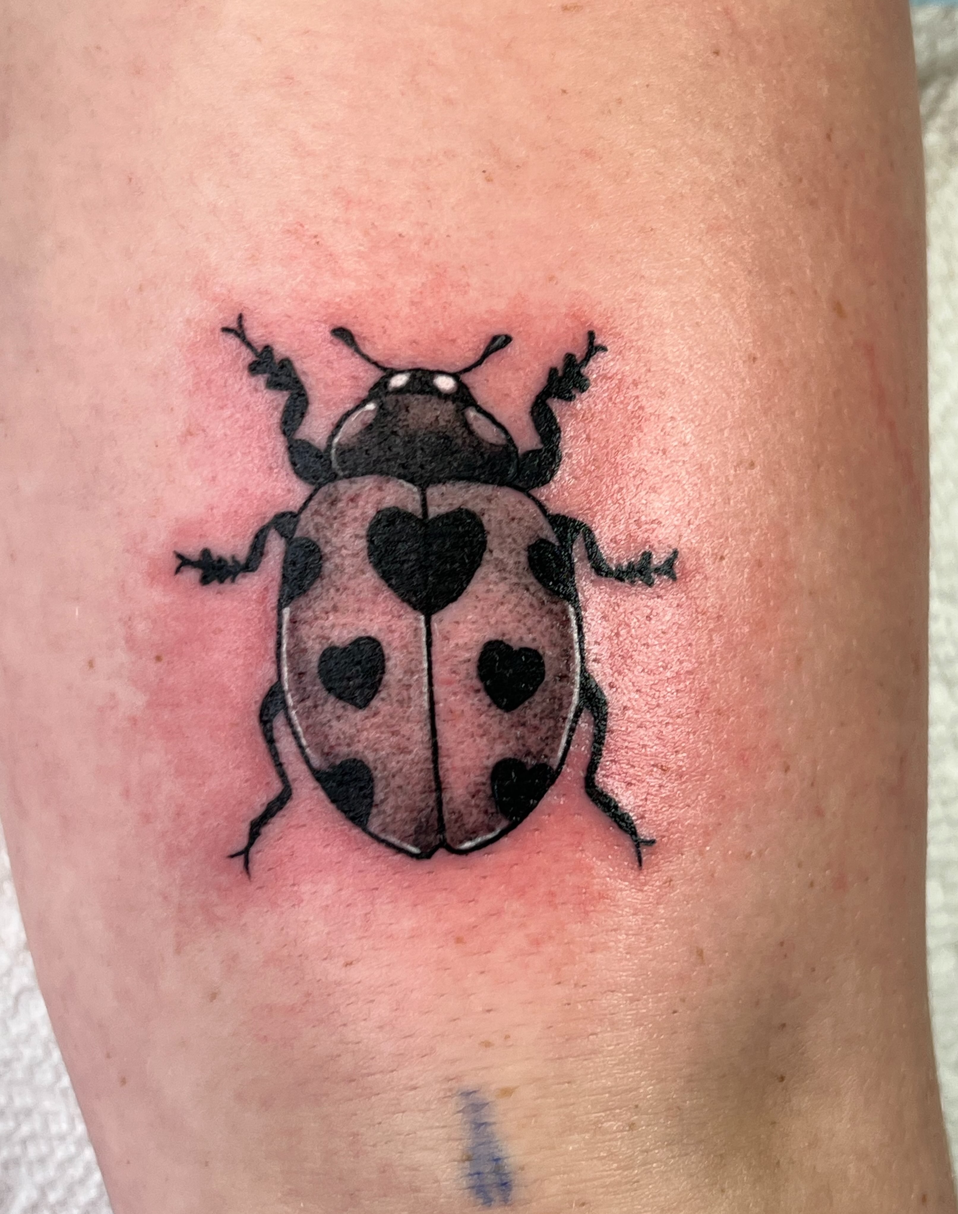 Tattoo by @shani.tattoo — realism