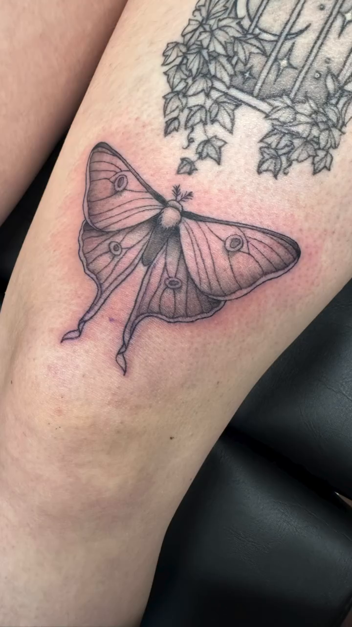 Luna moth realism tattoo by Lindsey Bendsey