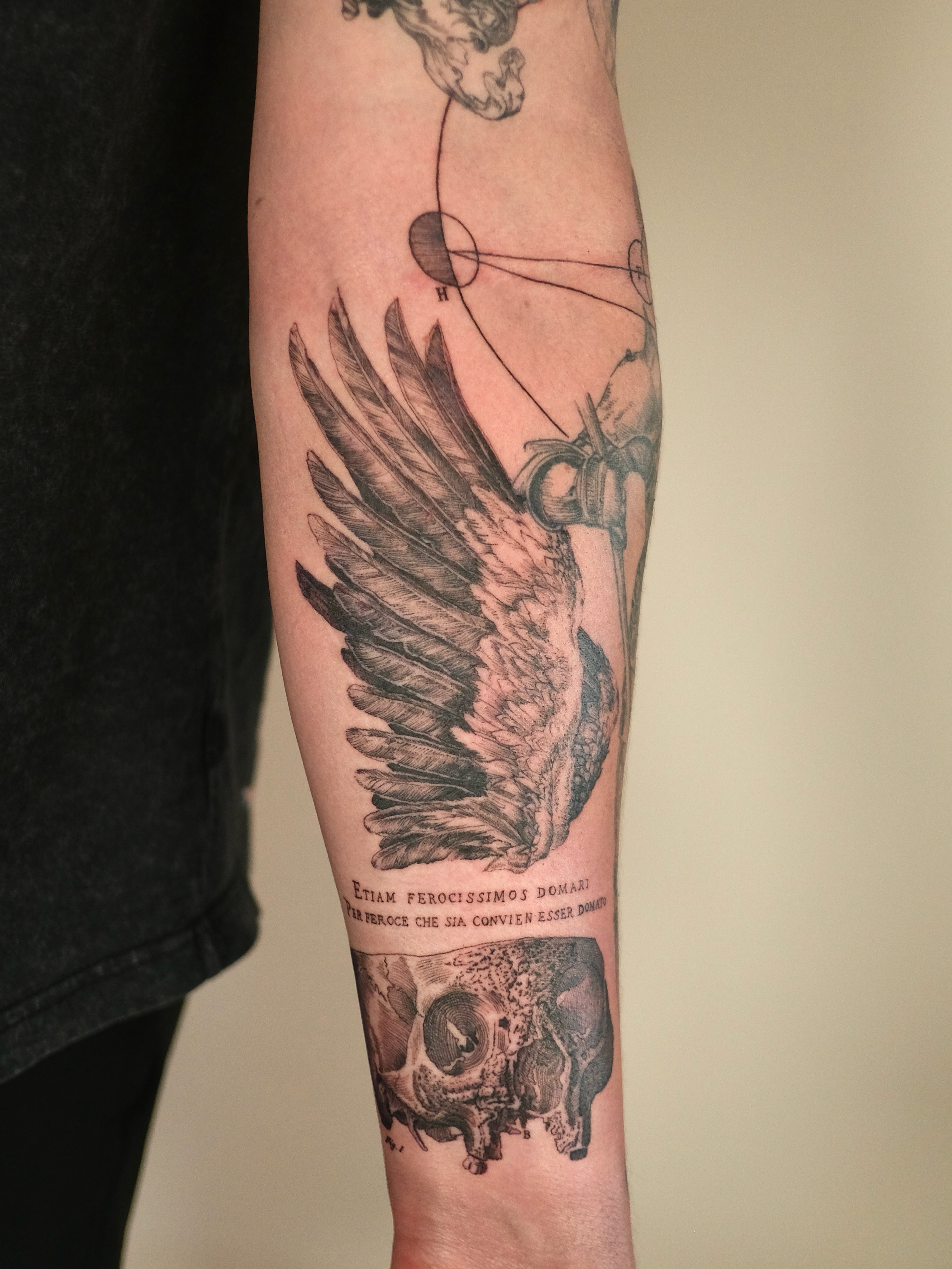Wings and skull realism tattoo on the forearm by Zanereti