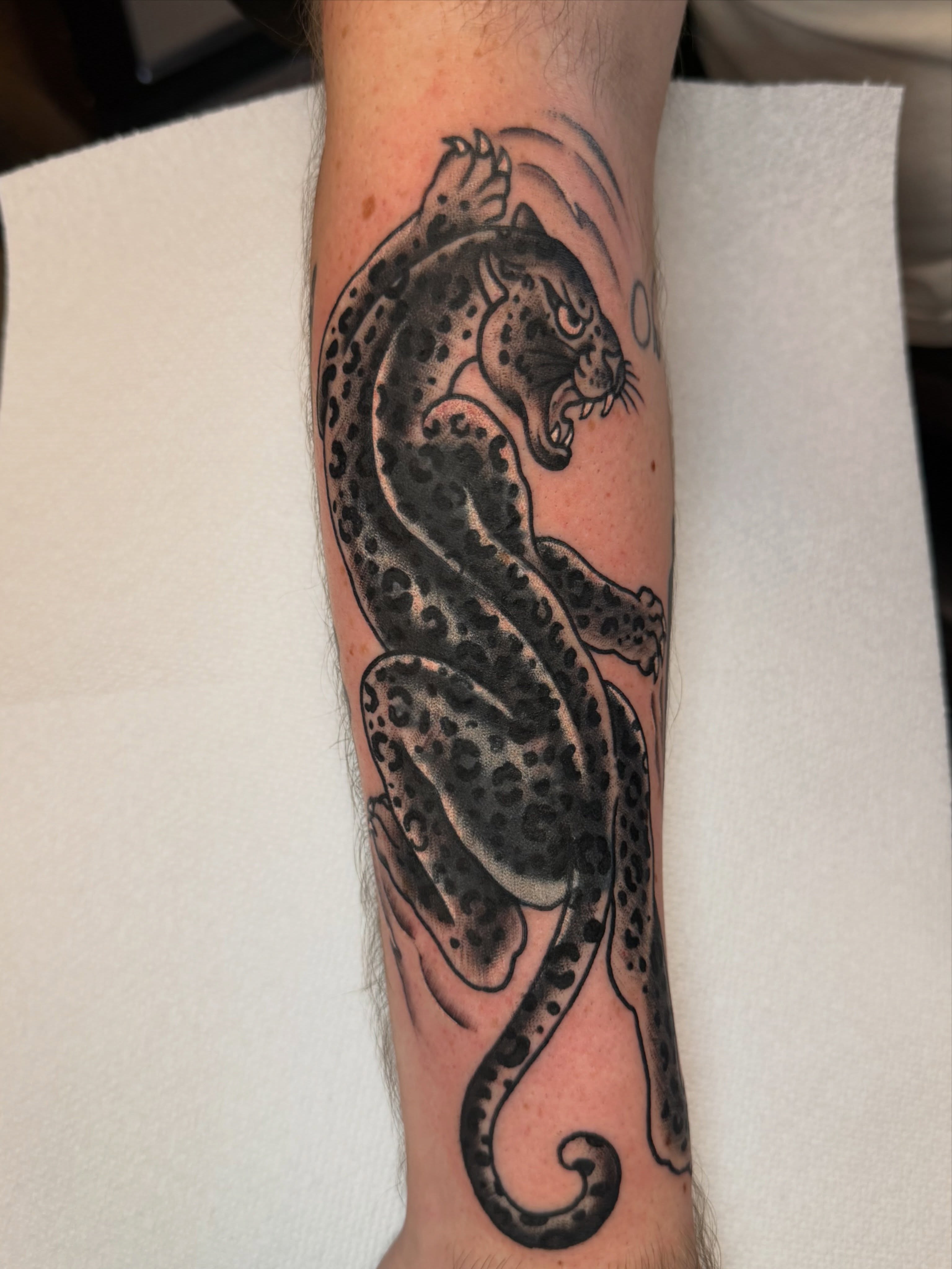 Leopard black and grey tattoo on the forearm by Christopher Mikesell