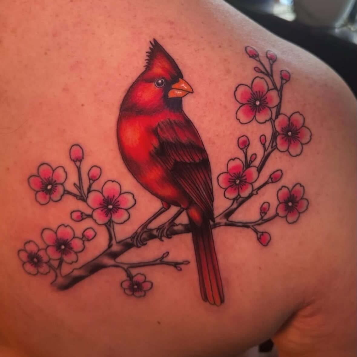 Cardinal bird realism tattoo on the shoulder by Mtctattoos