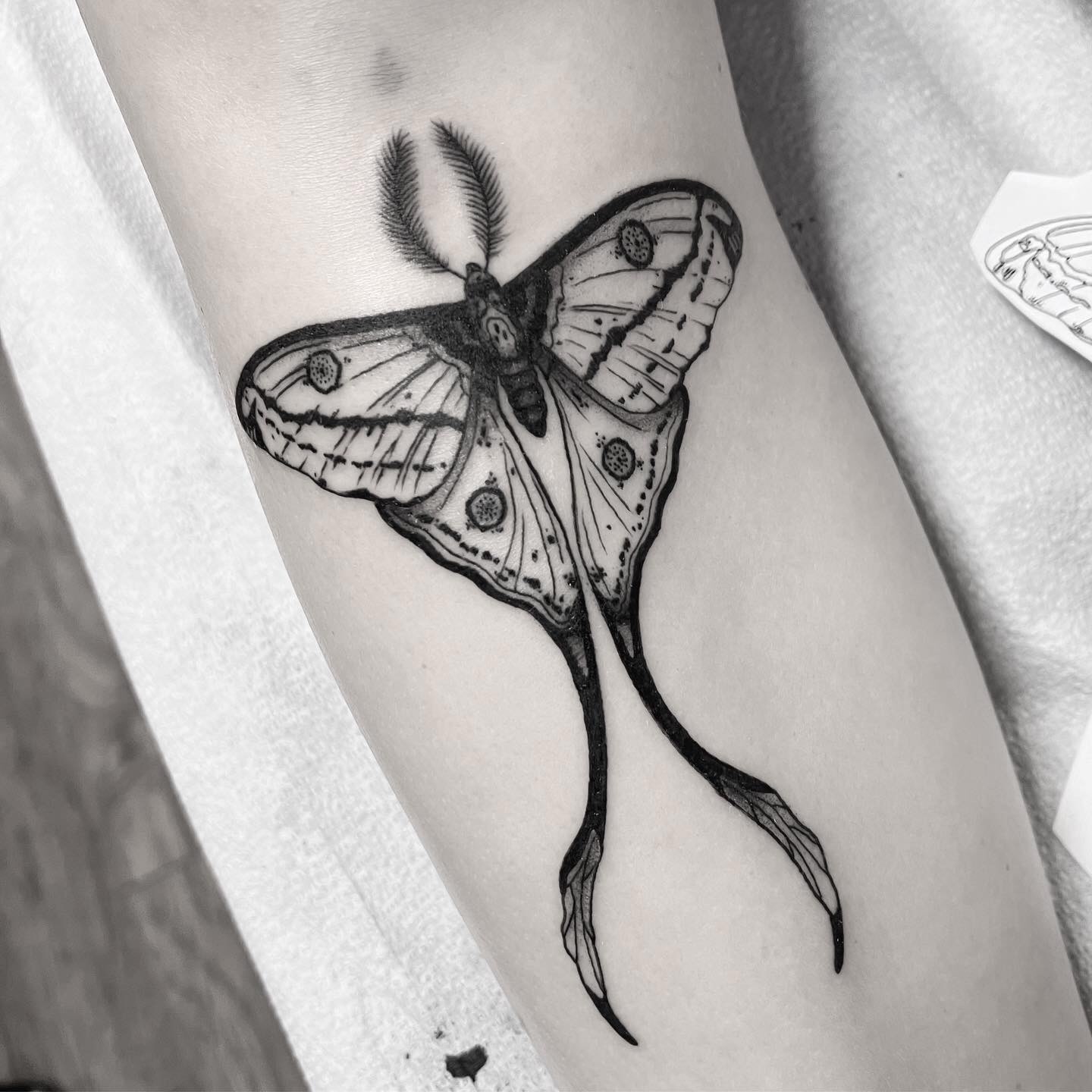 Moth black and grey tattoo on the forearm by Mtctattoos