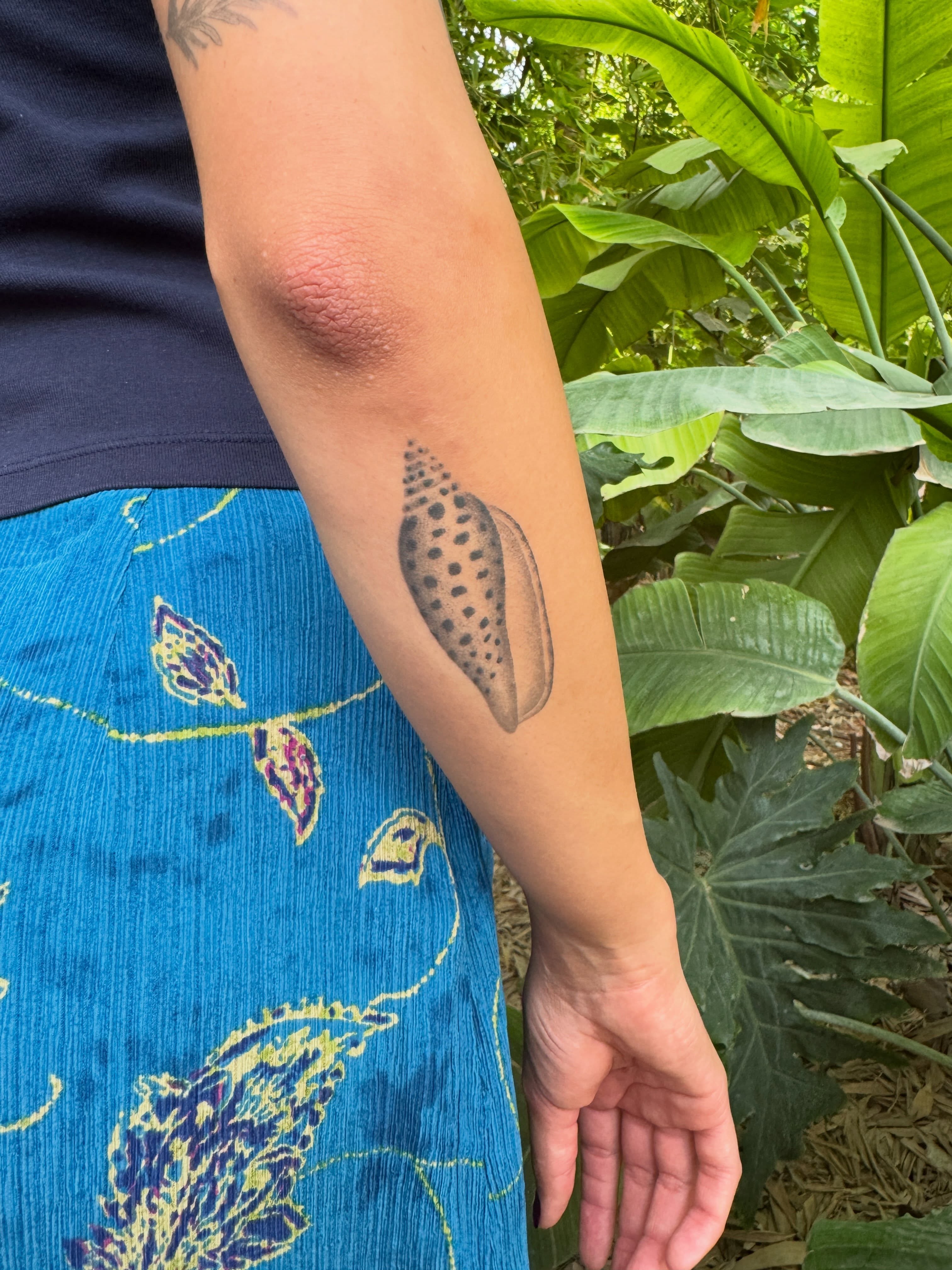 Shell realism tattoo on the forearm by Monica Reynolds