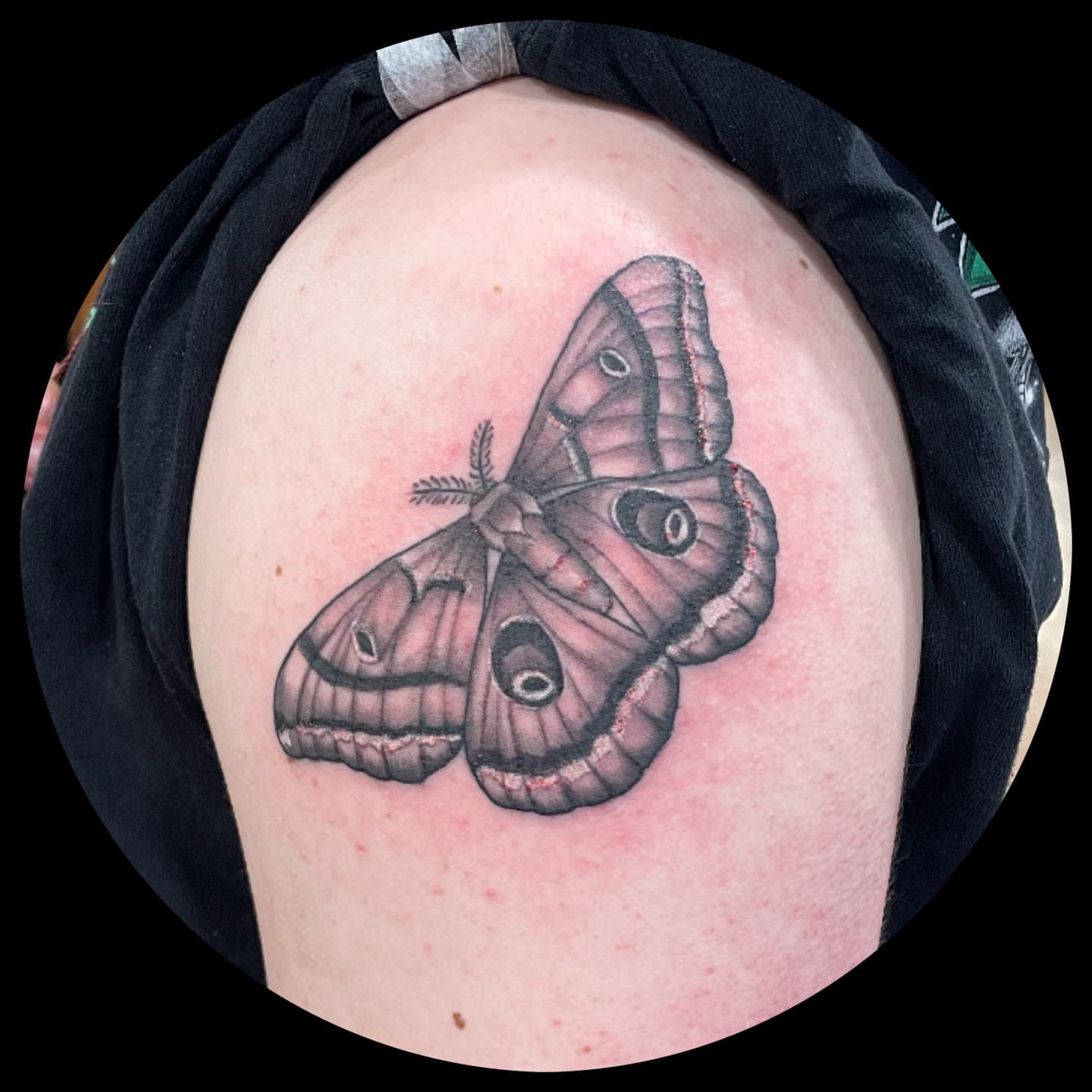 Tattoo by @idoitwithlittlepricks — realism