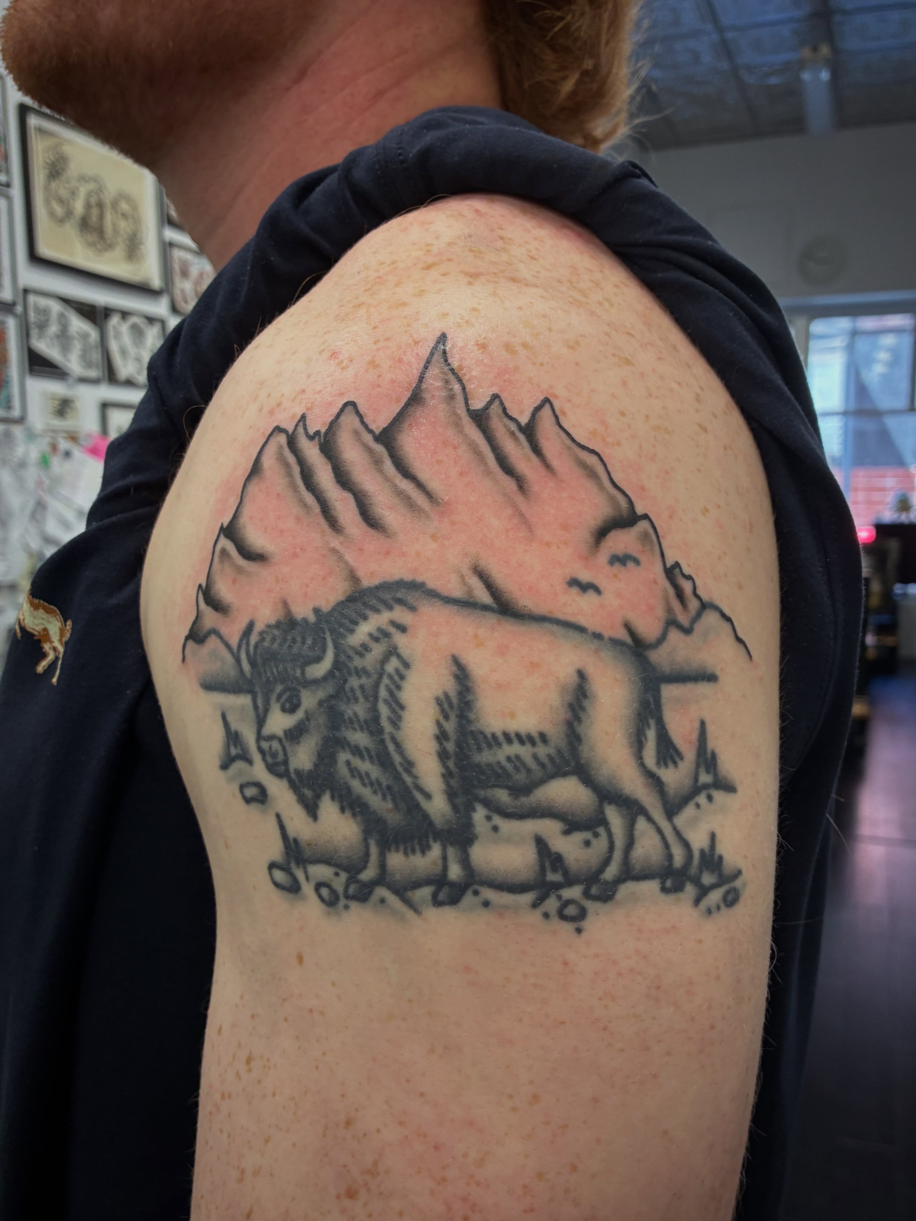 Buffalo black and grey tattoo on the shoulder by @rubber_band_dan, San Francisco, California