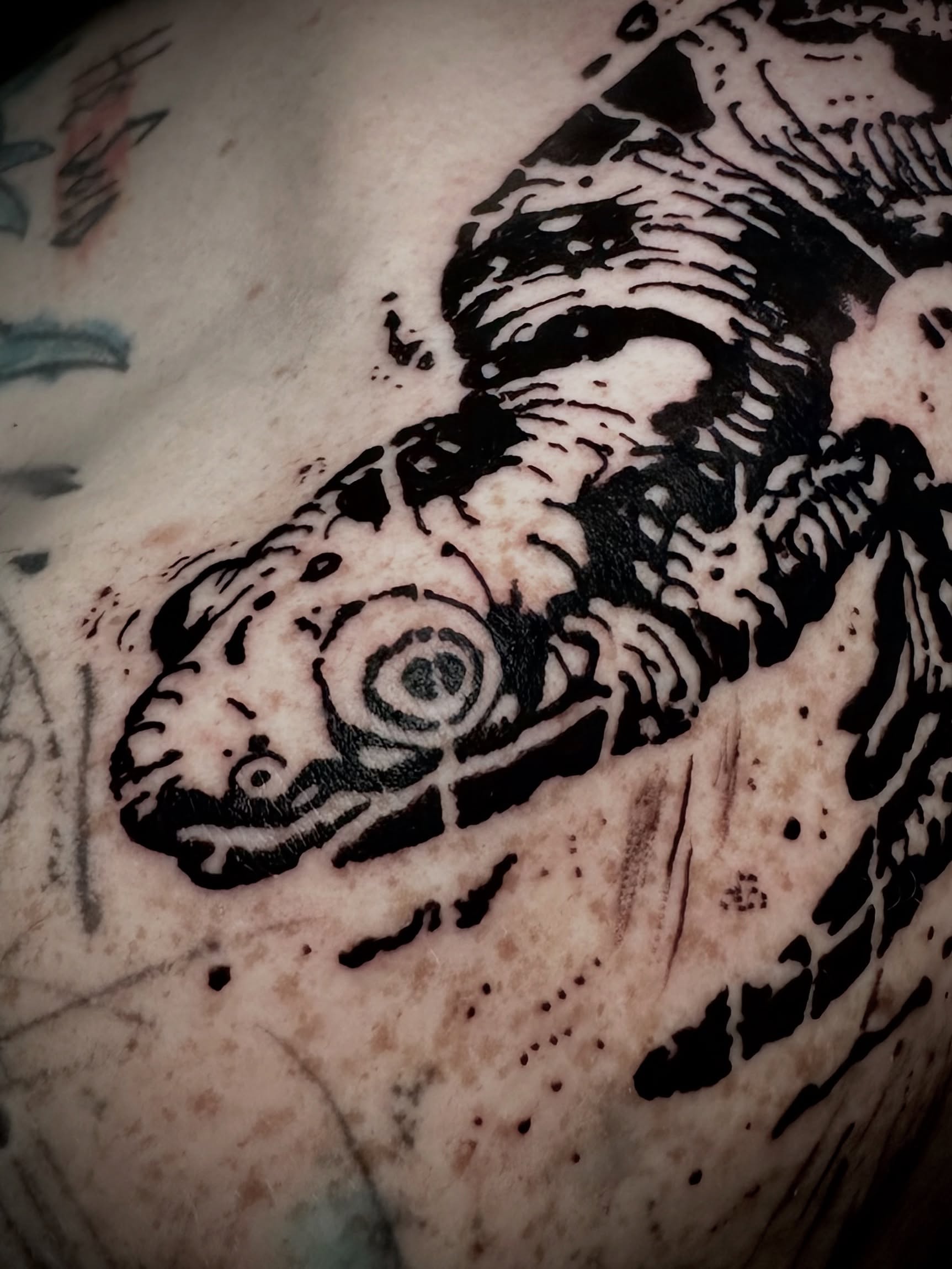 Gecko black and grey tattoo on the upper arm by Noah Durany