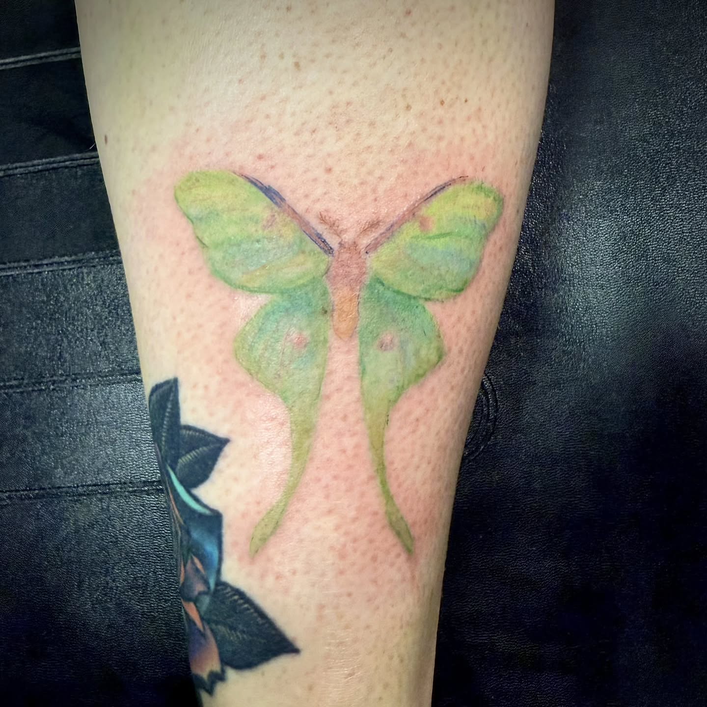 Butterfly dotwork tattoo on the forearm by Ari 💠🧜‍♂️🐟🎨🦑🐚💠