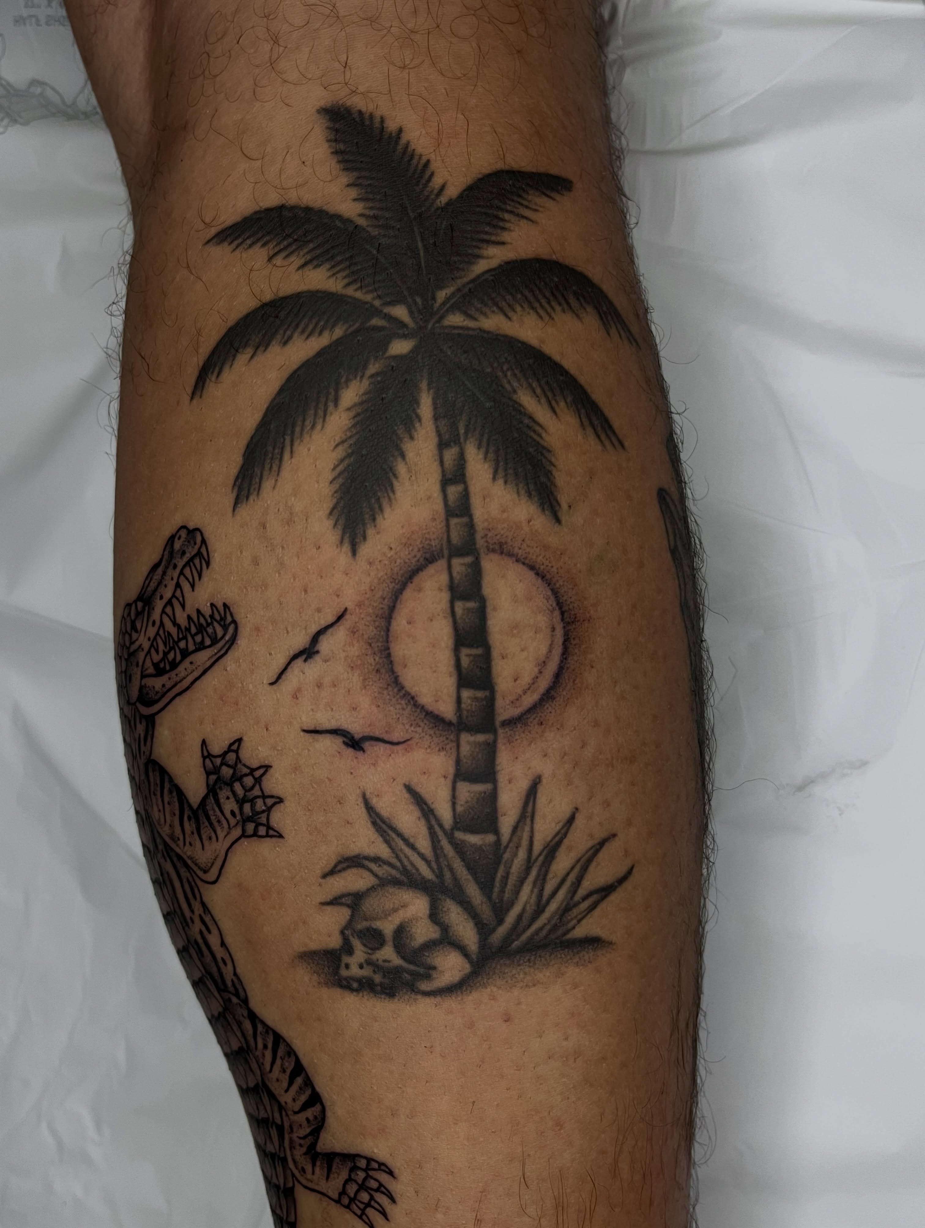 Palm tree and crocodile black and grey tattoo on the forearm by Patrick Elijah