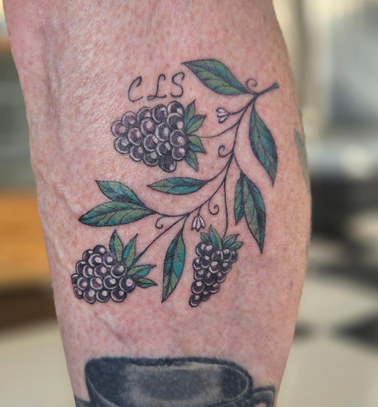Grapes and leaves black and grey tattoo on the forearm by Molly DeSmedt