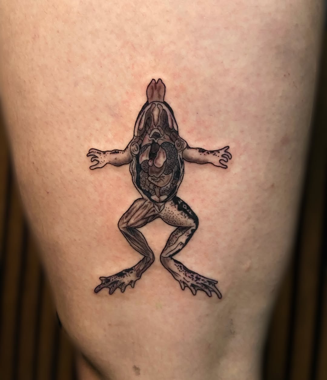 Frog black and grey tattoo on the thigh by Ezra Gonda
