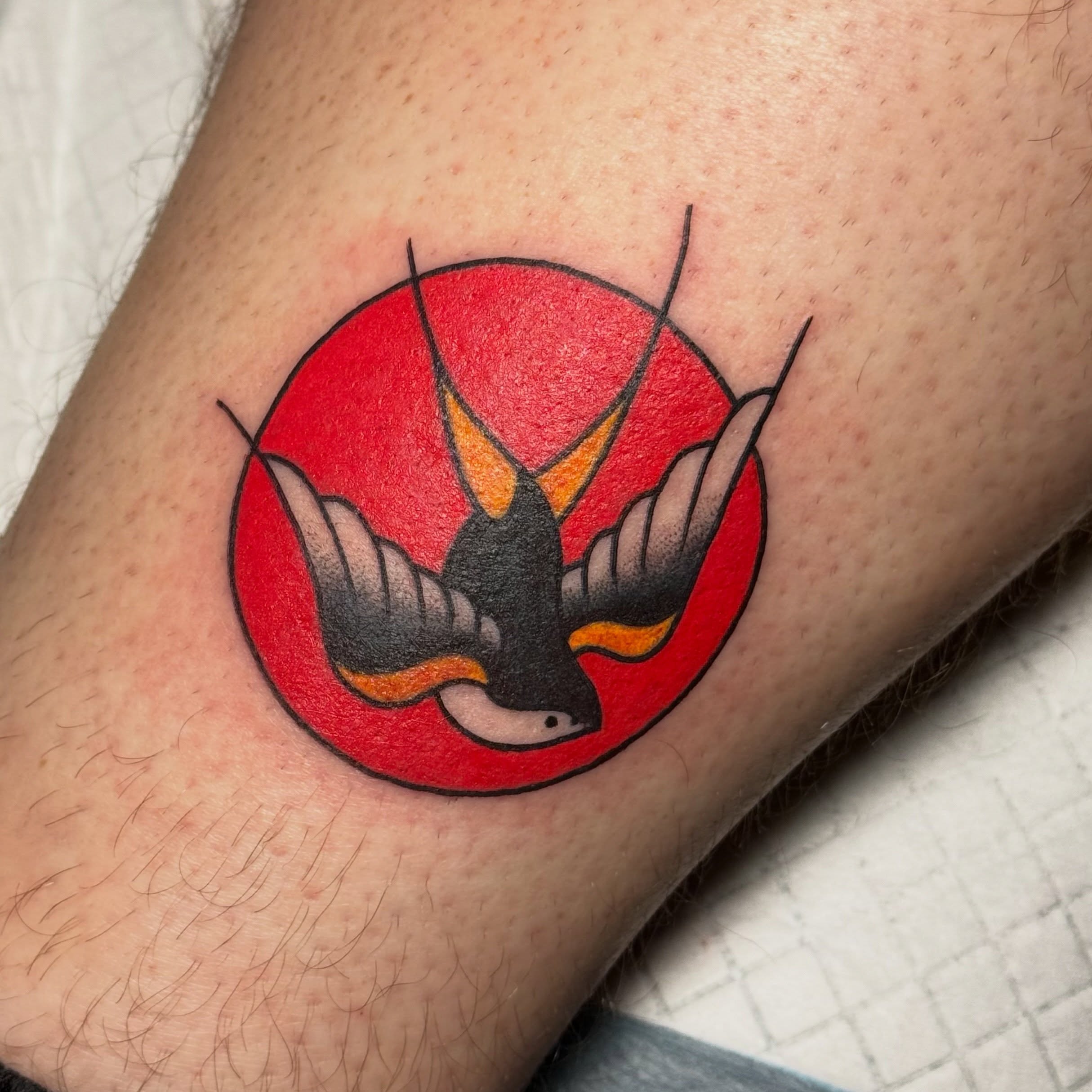 Bird American traditional tattoo on the forearm by Matthew - Tattoo Artist