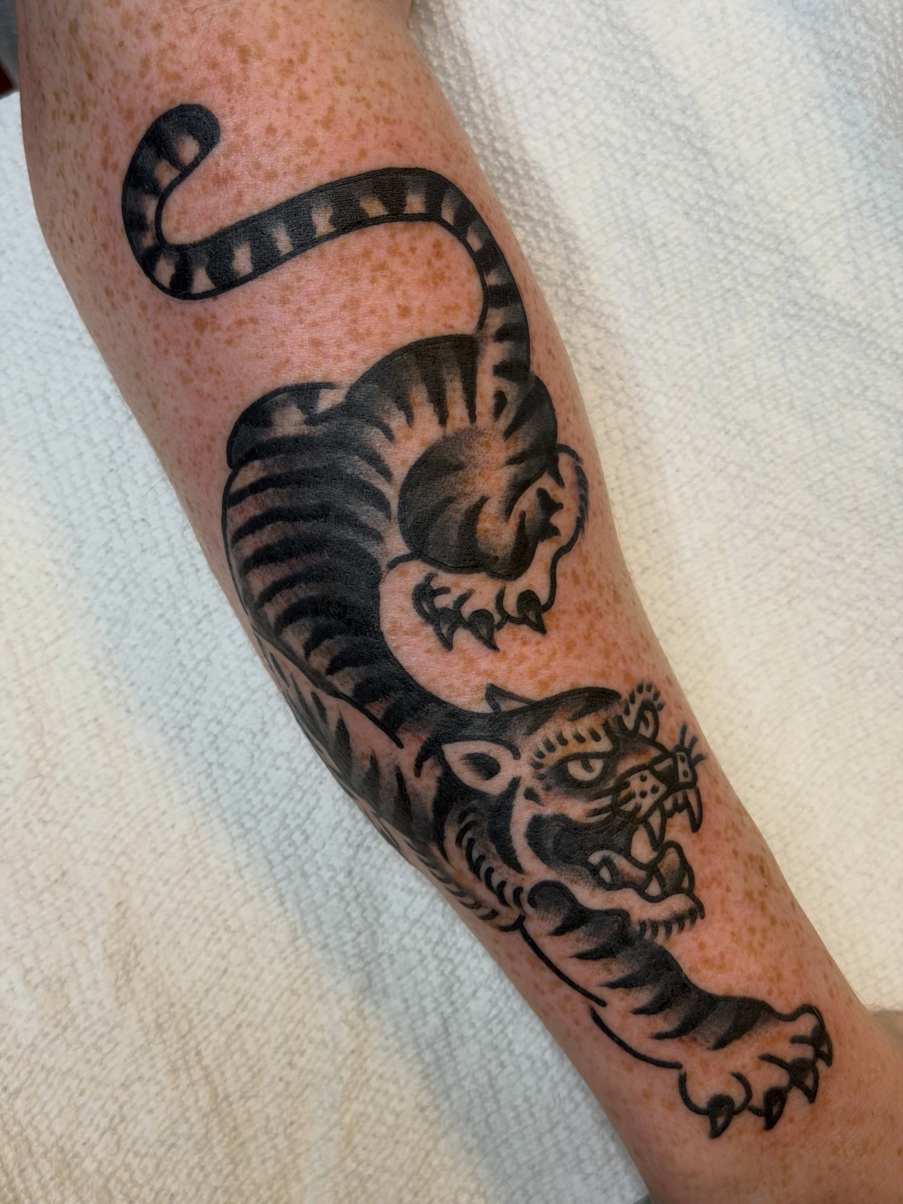 Snake and tiger black and grey tattoo on the forearm by 🌈KNOXVILLE’S FAVORITE TATTOO ARTIST 👽 마법 버섯