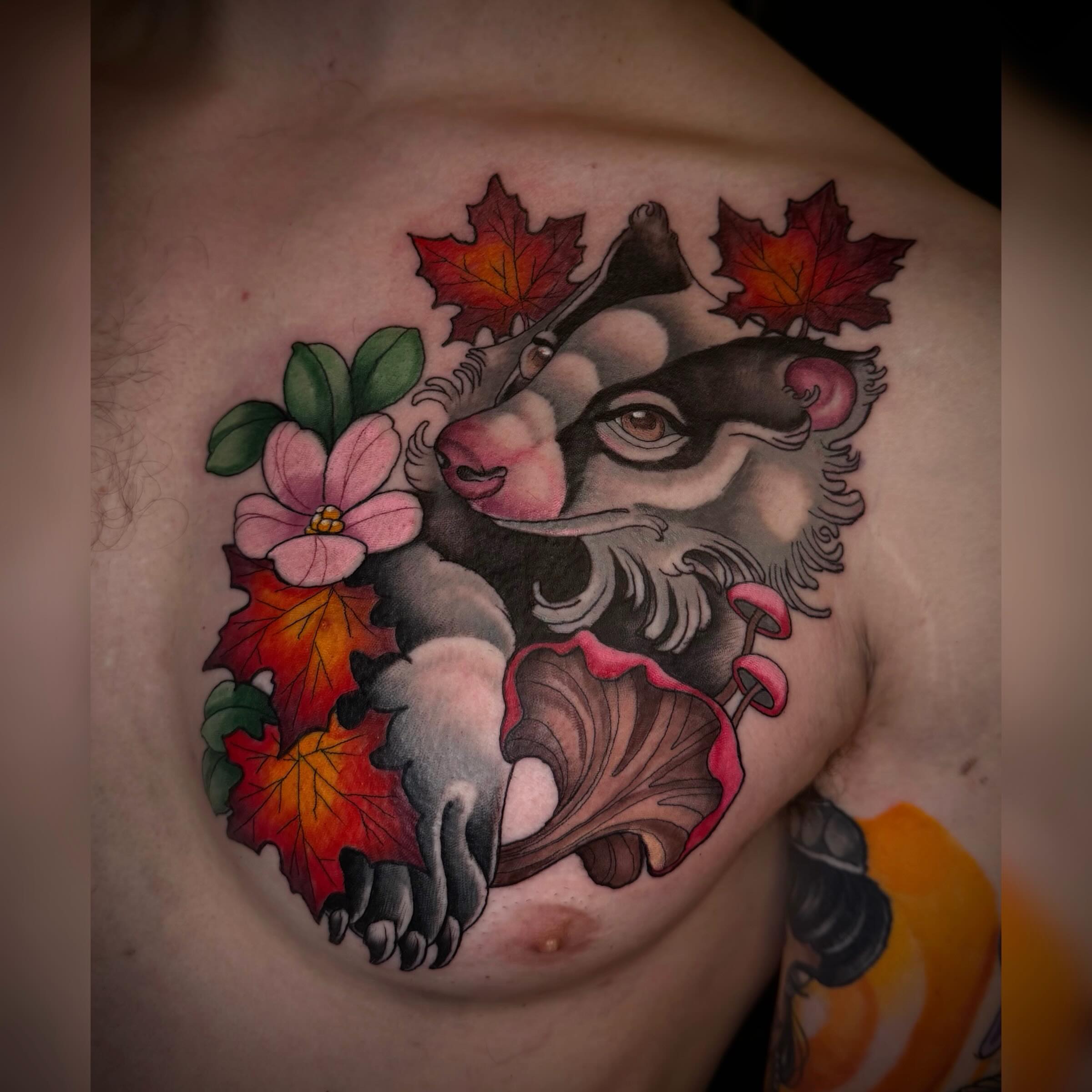 Badger with autumn leaves American traditional tattoo on the chest by Alyssa Deeghan