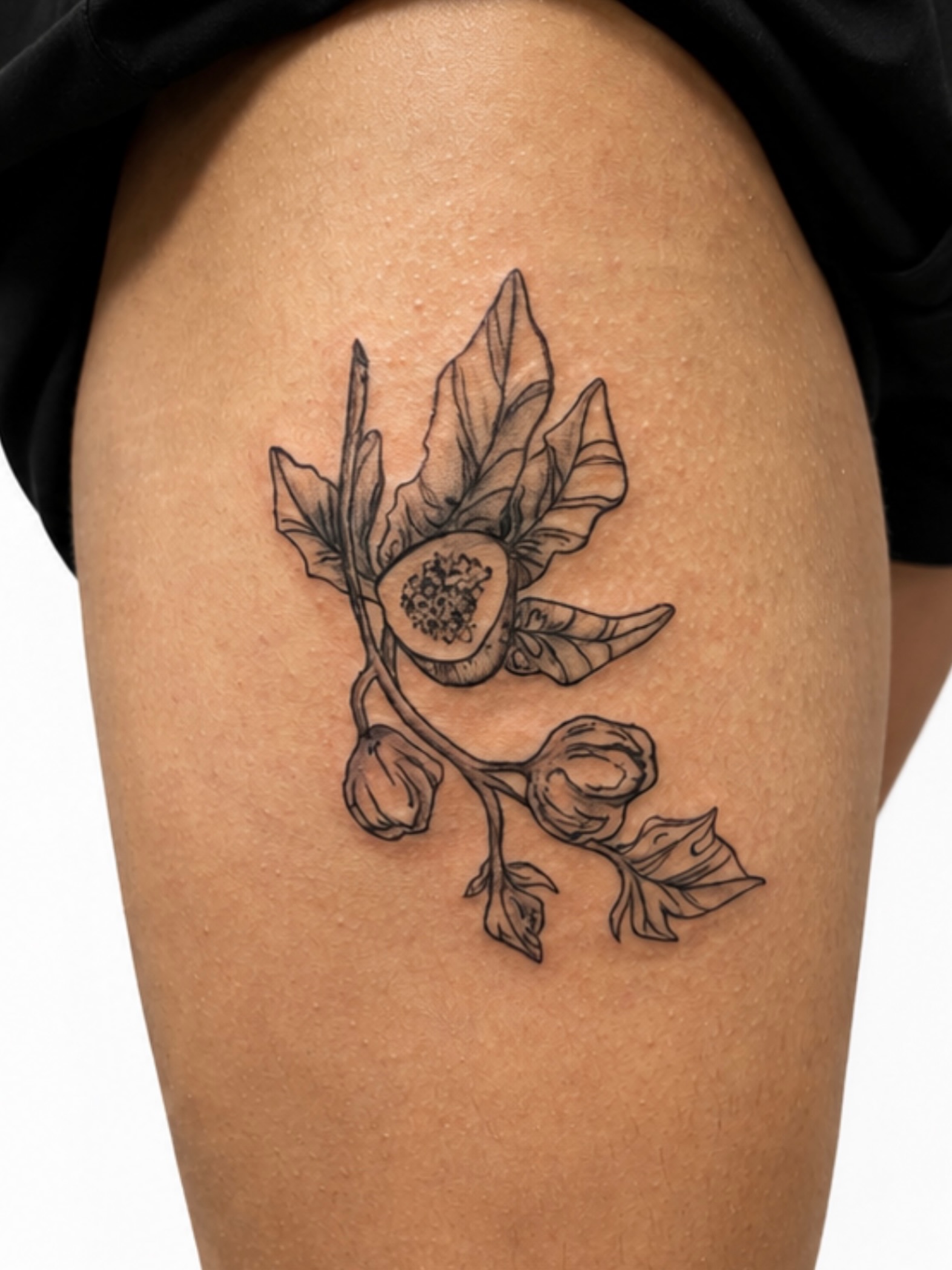 Tattoo by @handofheen — black_and_grey