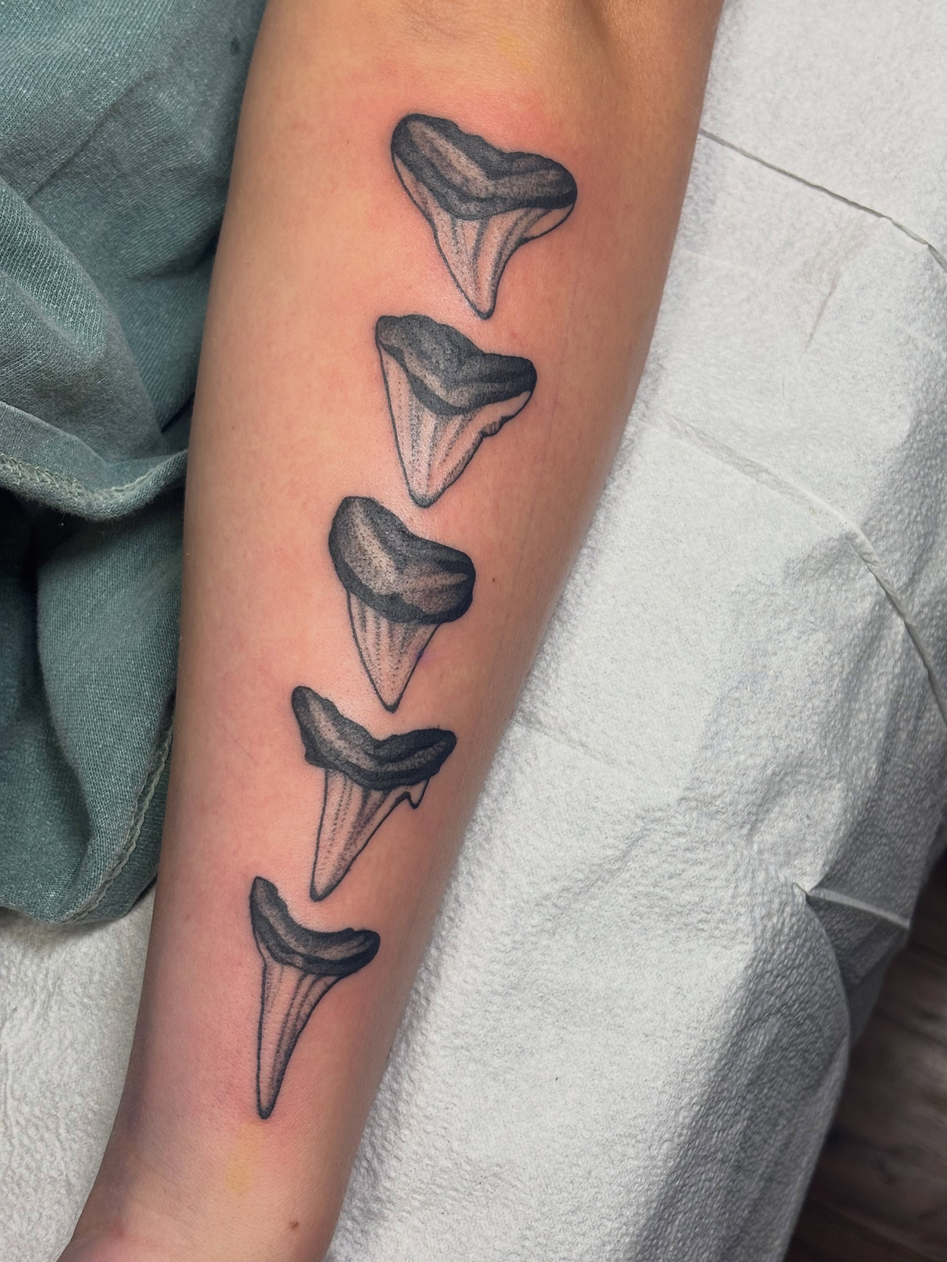 Shark teeth black and grey tattoo on the forearm by ✨madison✨, Portland, Oregon