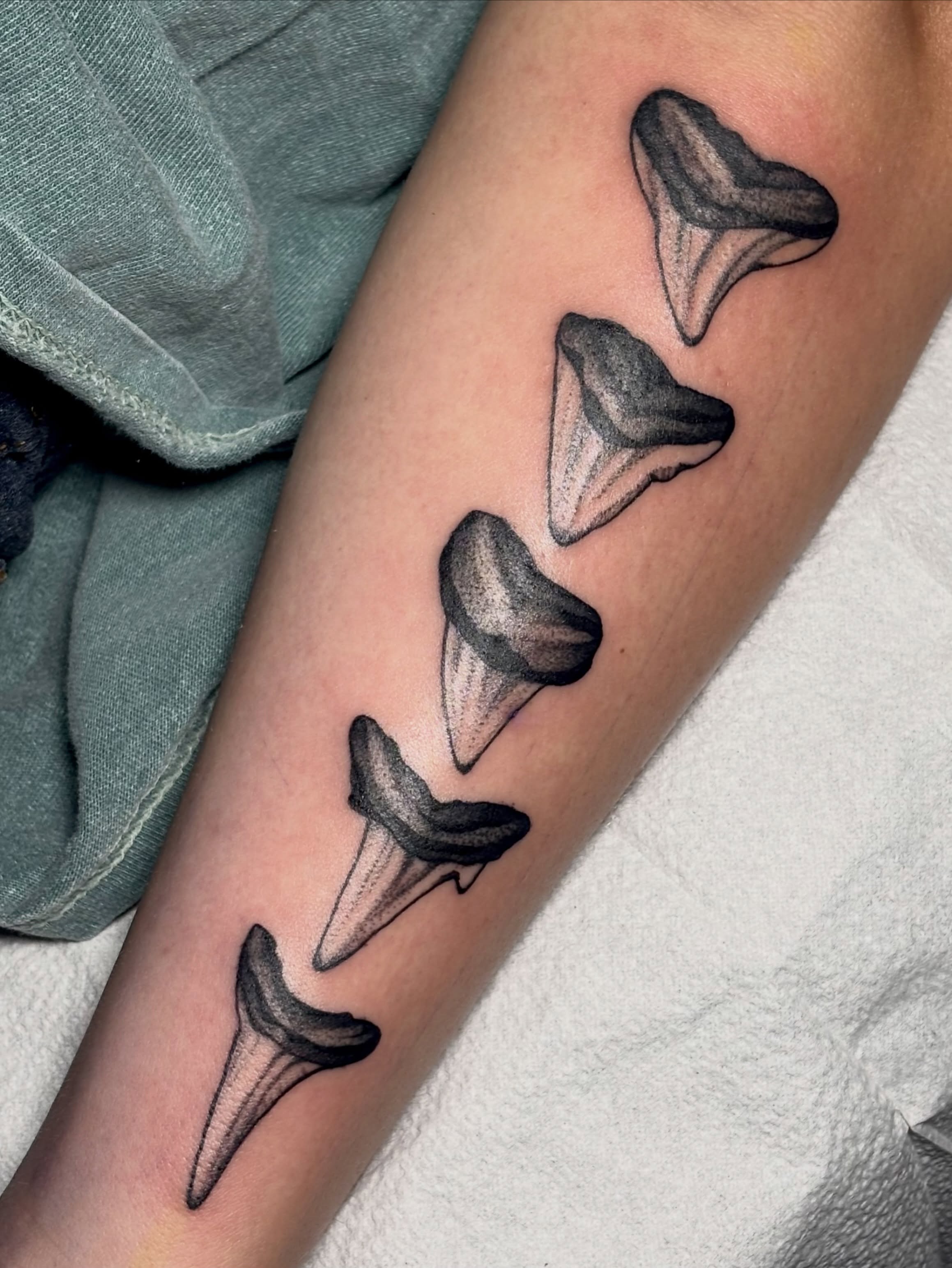Shark teeth black and grey tattoo on the forearm by ✨madison✨, Portland, Oregon