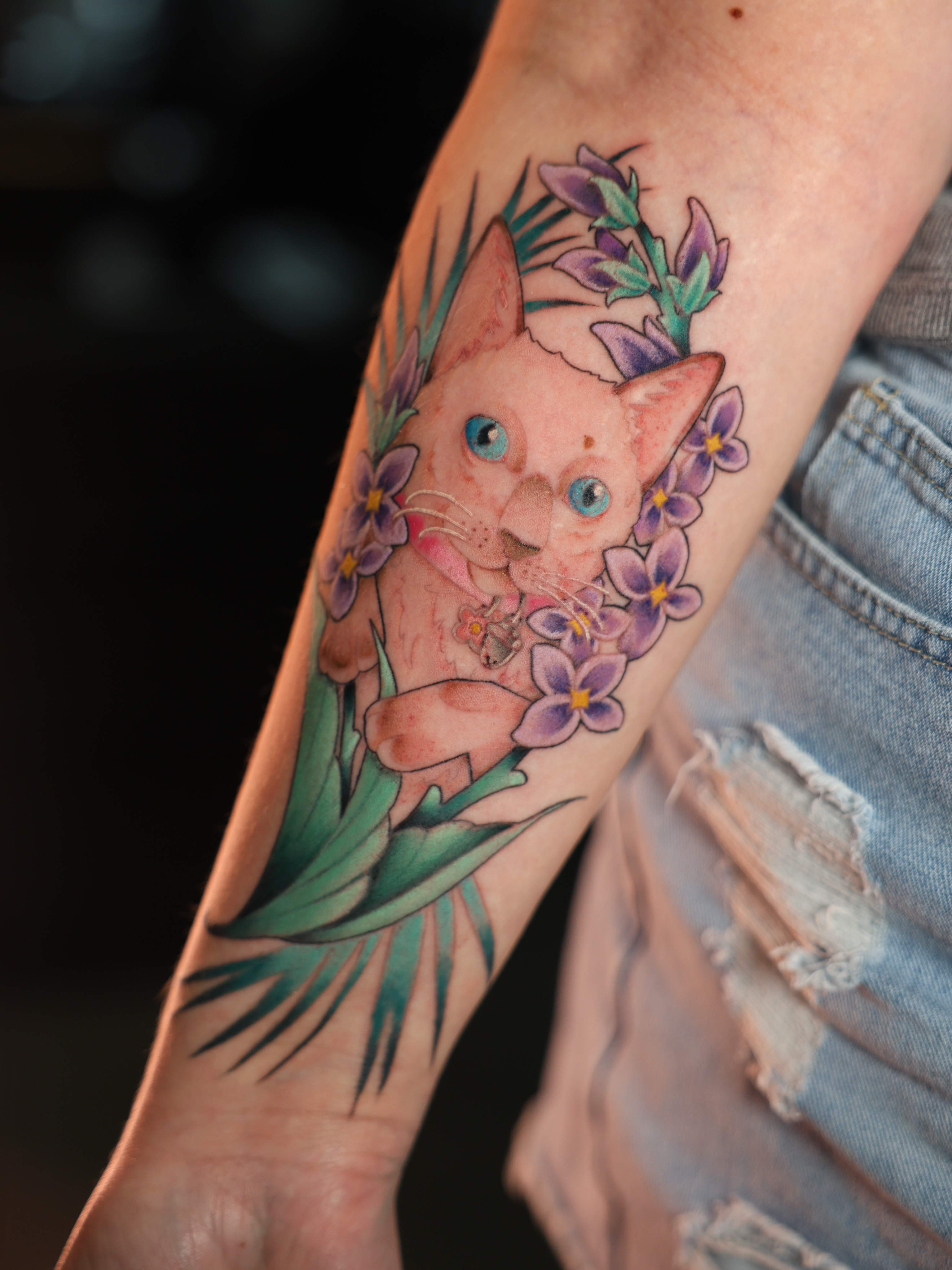 Cat with flowers new school tattoo on the forearm by Hannah Burnside, Charlotte, North Carolina