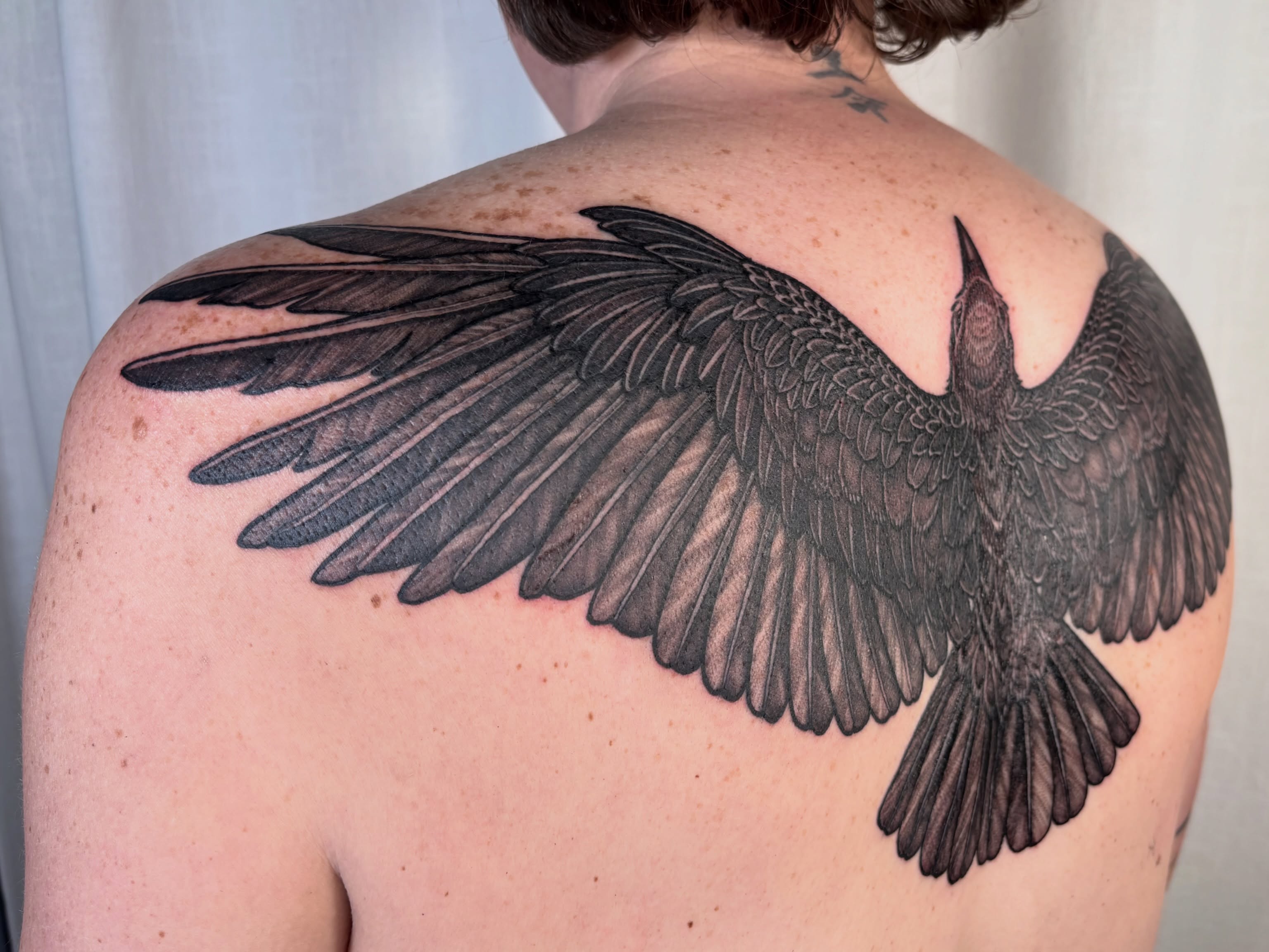 Crow realism tattoo on the back by Maggie