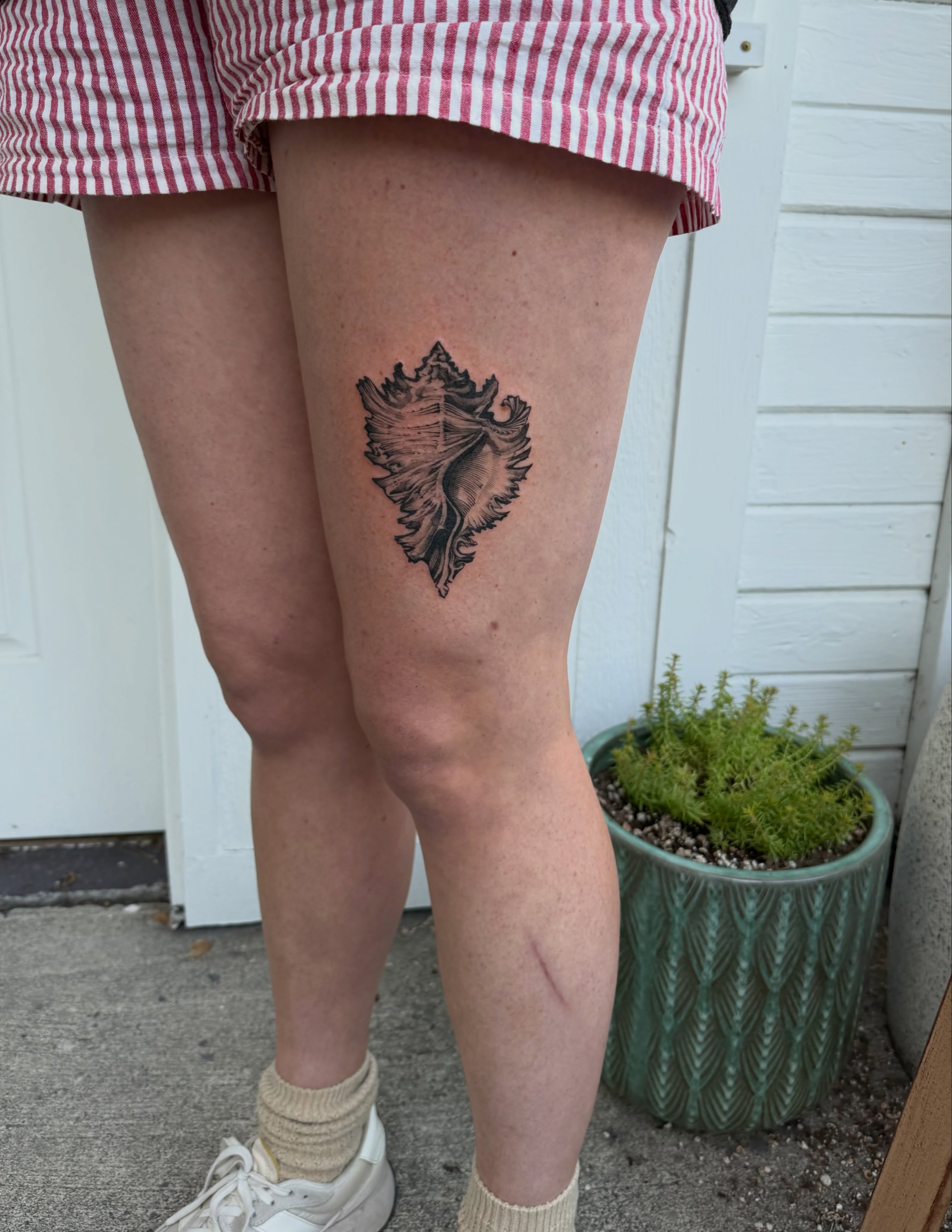 Shell black and grey tattoo on the thigh by Kingtide Ink