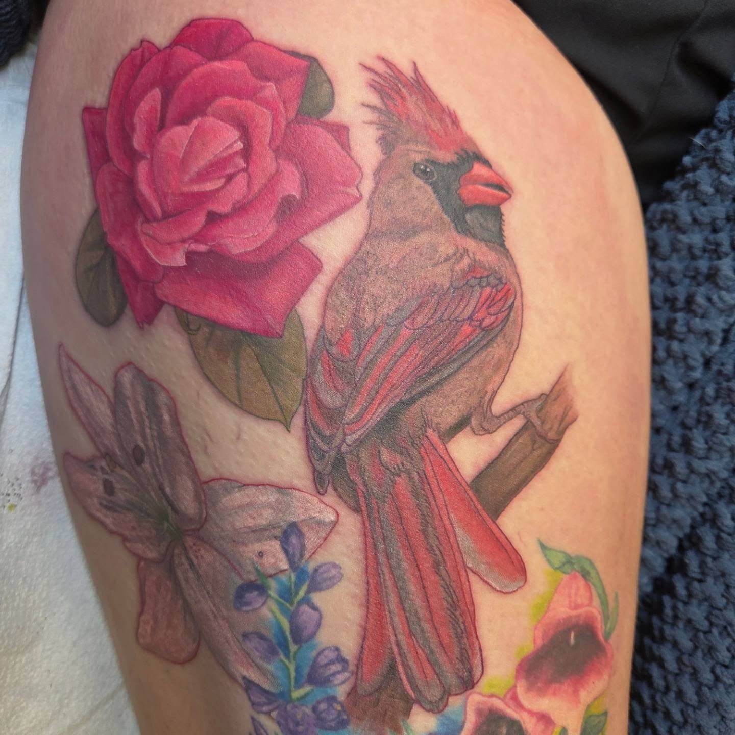 Cardinal and rose realism tattoo on the thigh by Trinity Renee
