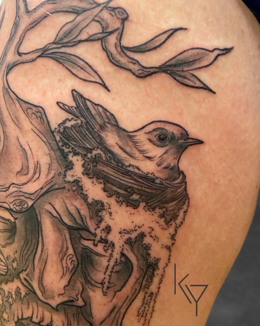 Bird black and grey tattoo on the shoulder by ..✨ K I R S T y y O R K ✨..