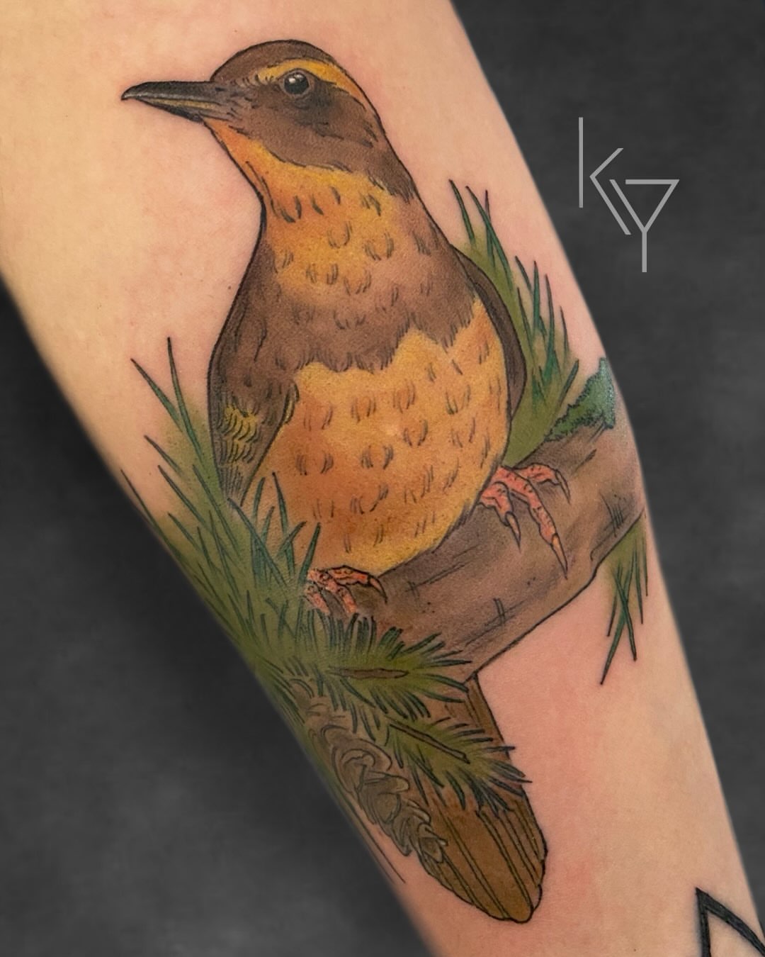 Bird realism tattoo on the forearm by ..✨ K I R S T y y O R K ✨..