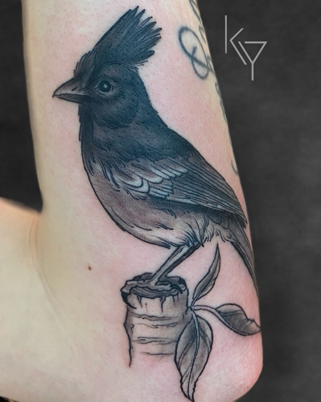 Bird realism tattoo on the forearm by ..✨ K I R S T y y O R K ✨..