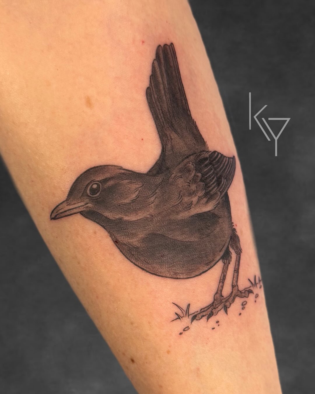 Bird black and grey tattoo on the forearm by ..✨ K I R S T y y O R K ✨..