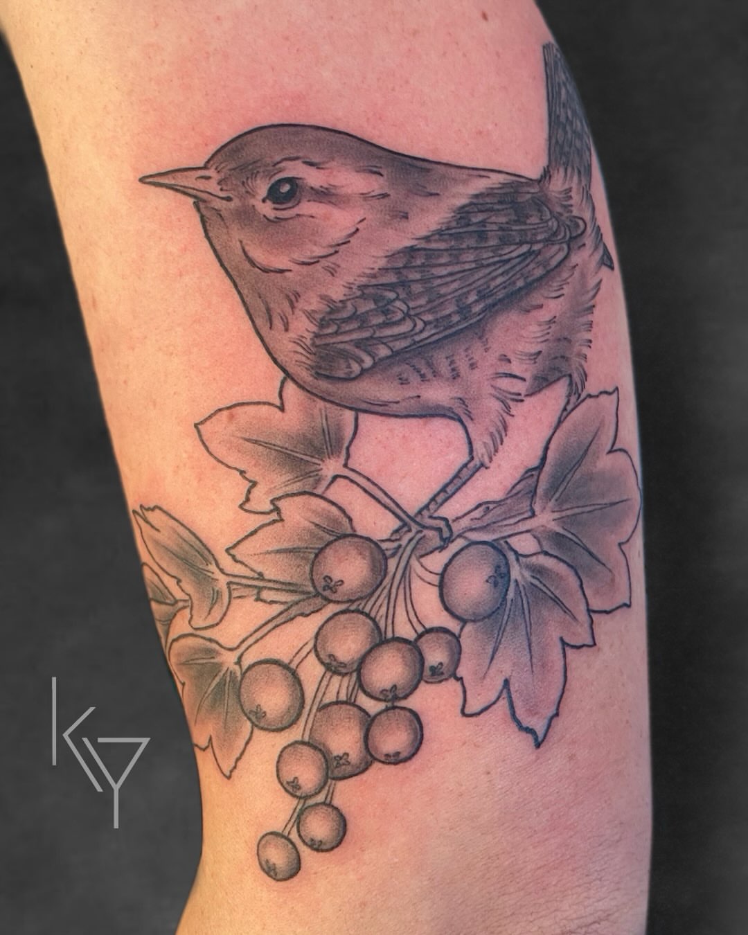 Bird and grapes realism tattoo on the forearm by ..✨ K I R S T y y O R K ✨..