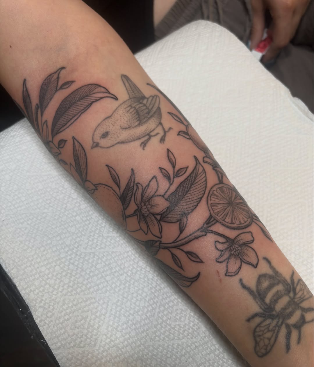 Bird and floral black and grey tattoo on the forearm by š¤Madeline Kristenš¤, Somerset, Wisconsin