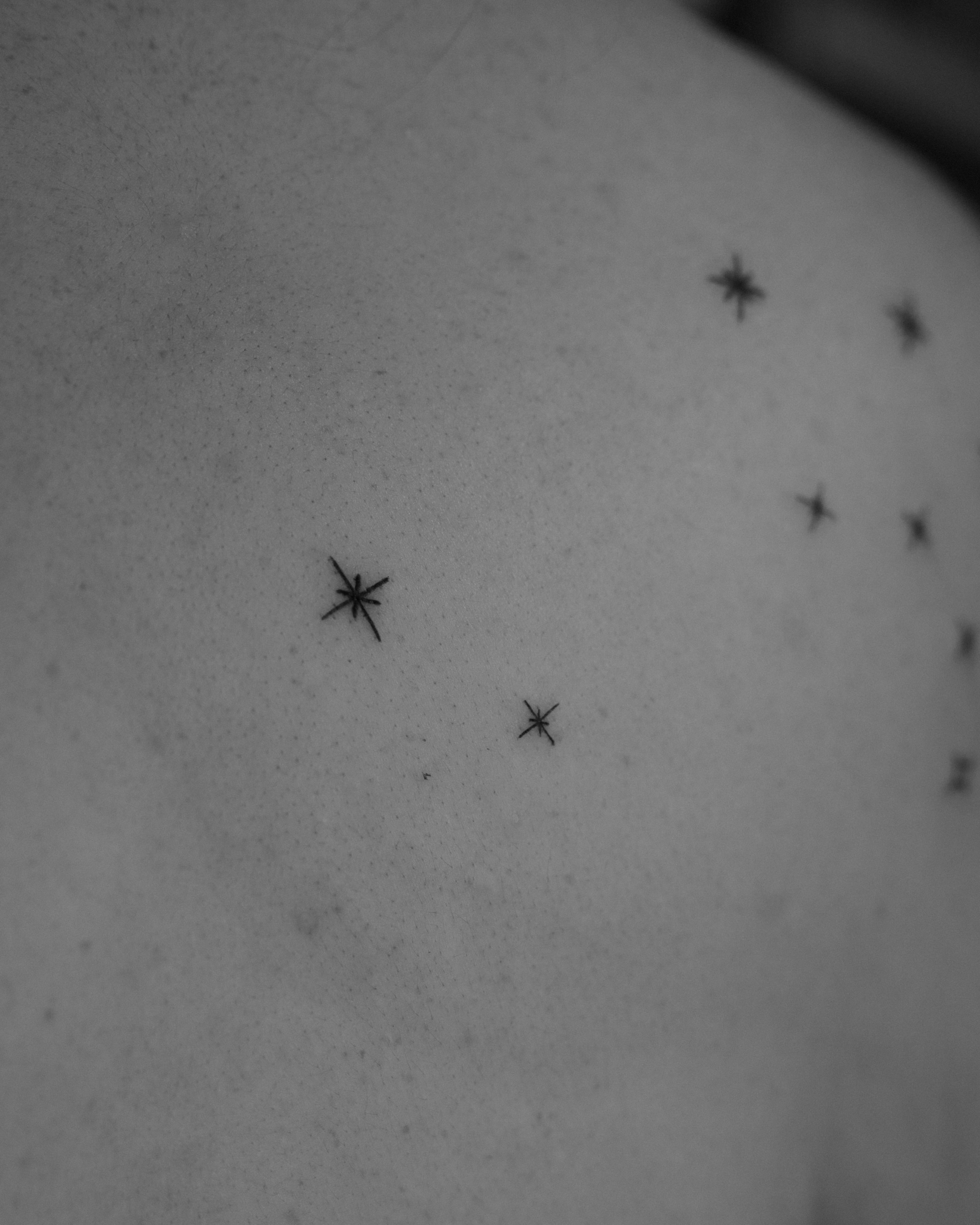 Spiders black and grey tattoo on the shoulder by Ash - Fineline Tattoo Apprentice