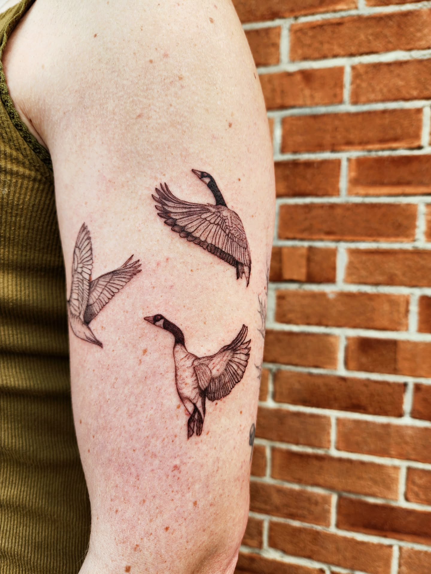 Geese black and grey tattoo on the forearm by Alex ▪︎ Tattoo Apprentice
