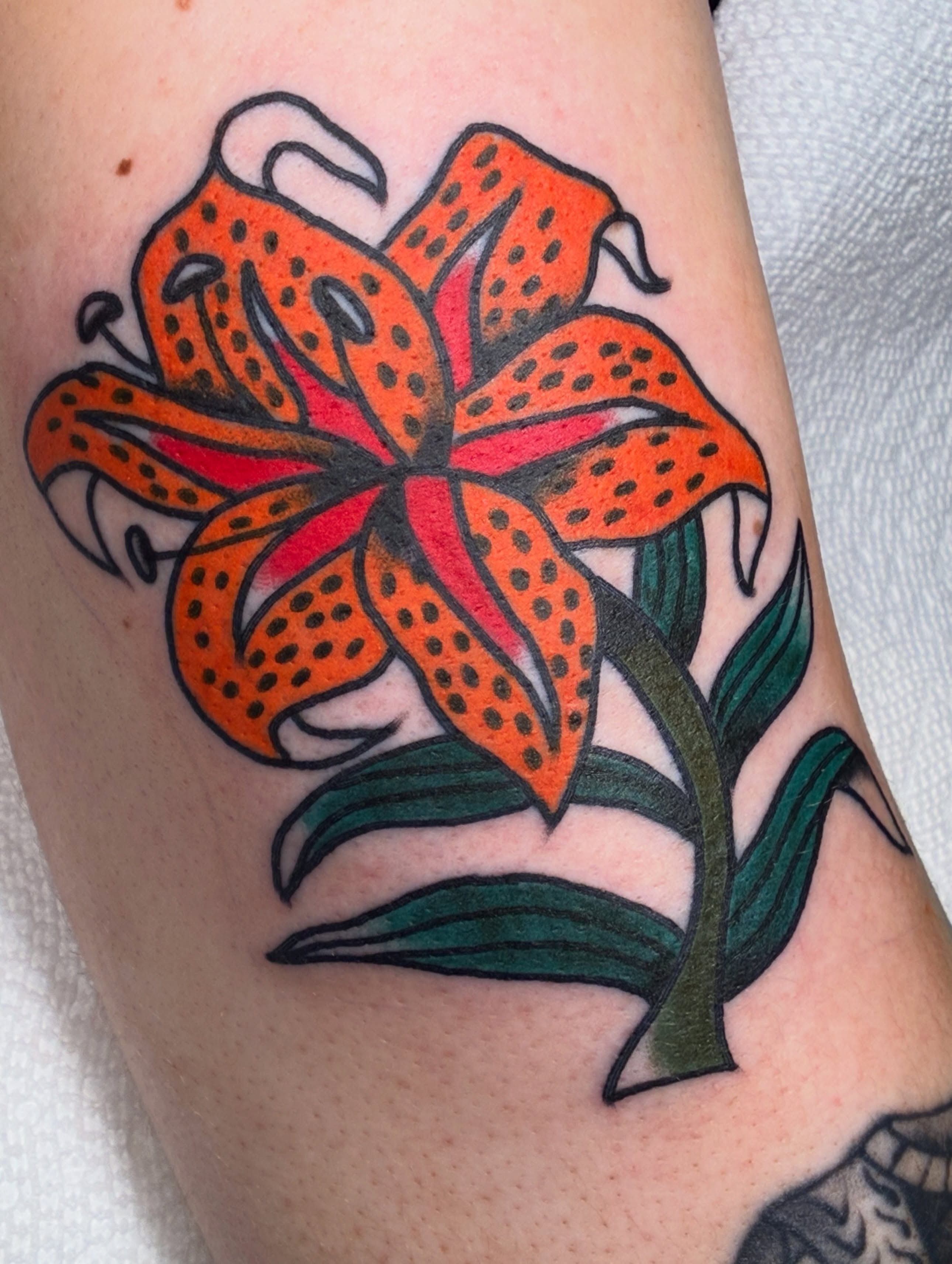 Orange tiger lily American traditional tattoo on the forearm by Sav Robinson