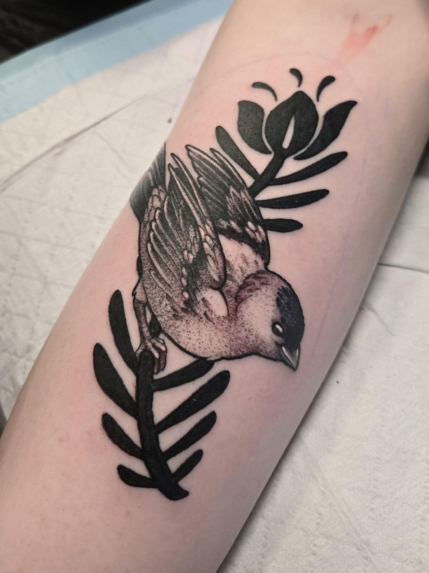 Bird and leaf dotwork tattoo on the forearm by ◇  Kristyn Kay  ◇ Tattoo Warlock, Des Moines, Iowa