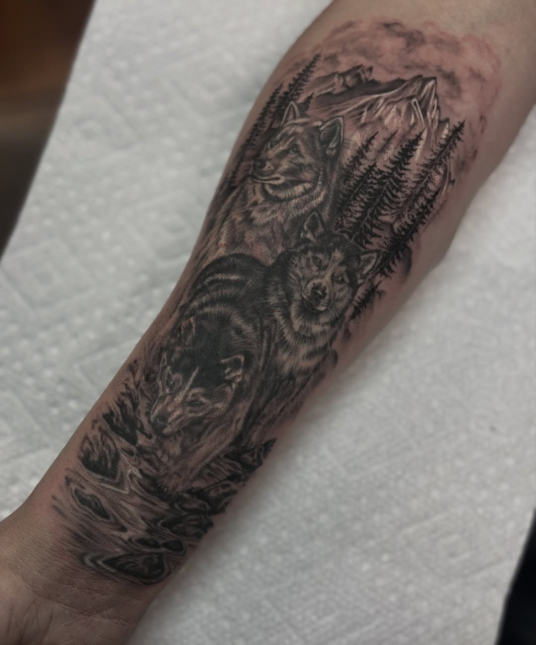 Tattoo by @genevieveink — black_and_grey, realism