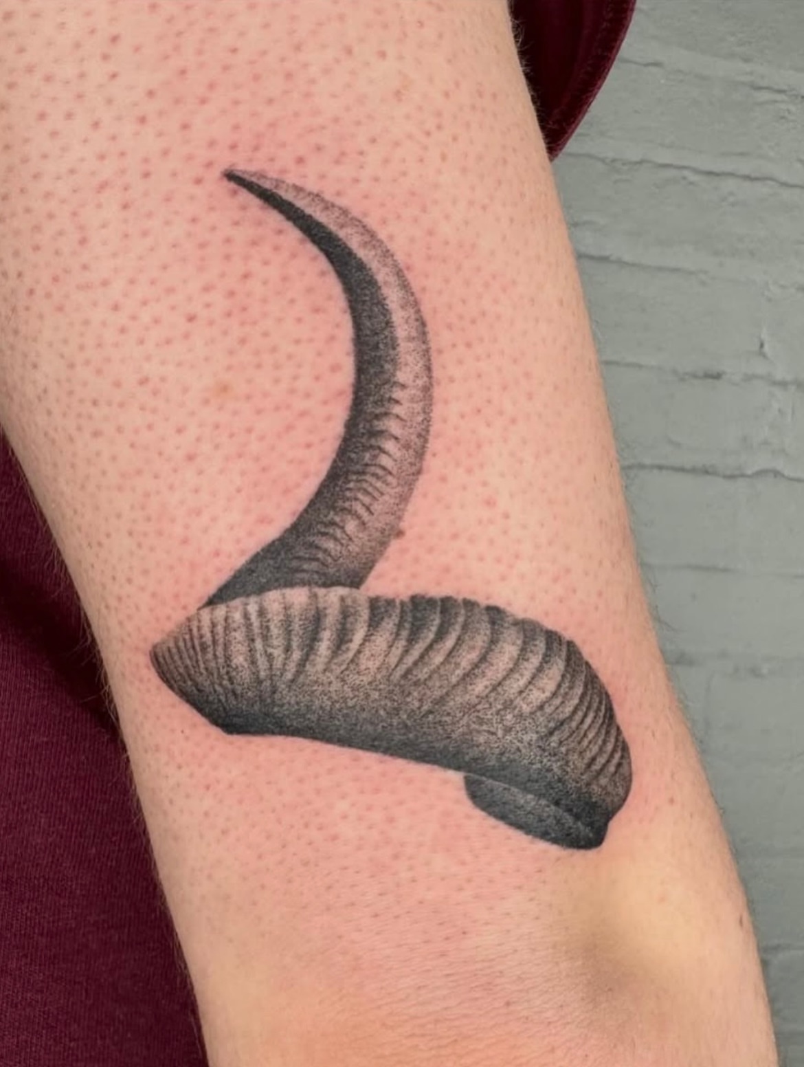 Horn black and grey tattoo on the forearm by Kenny ๐ด