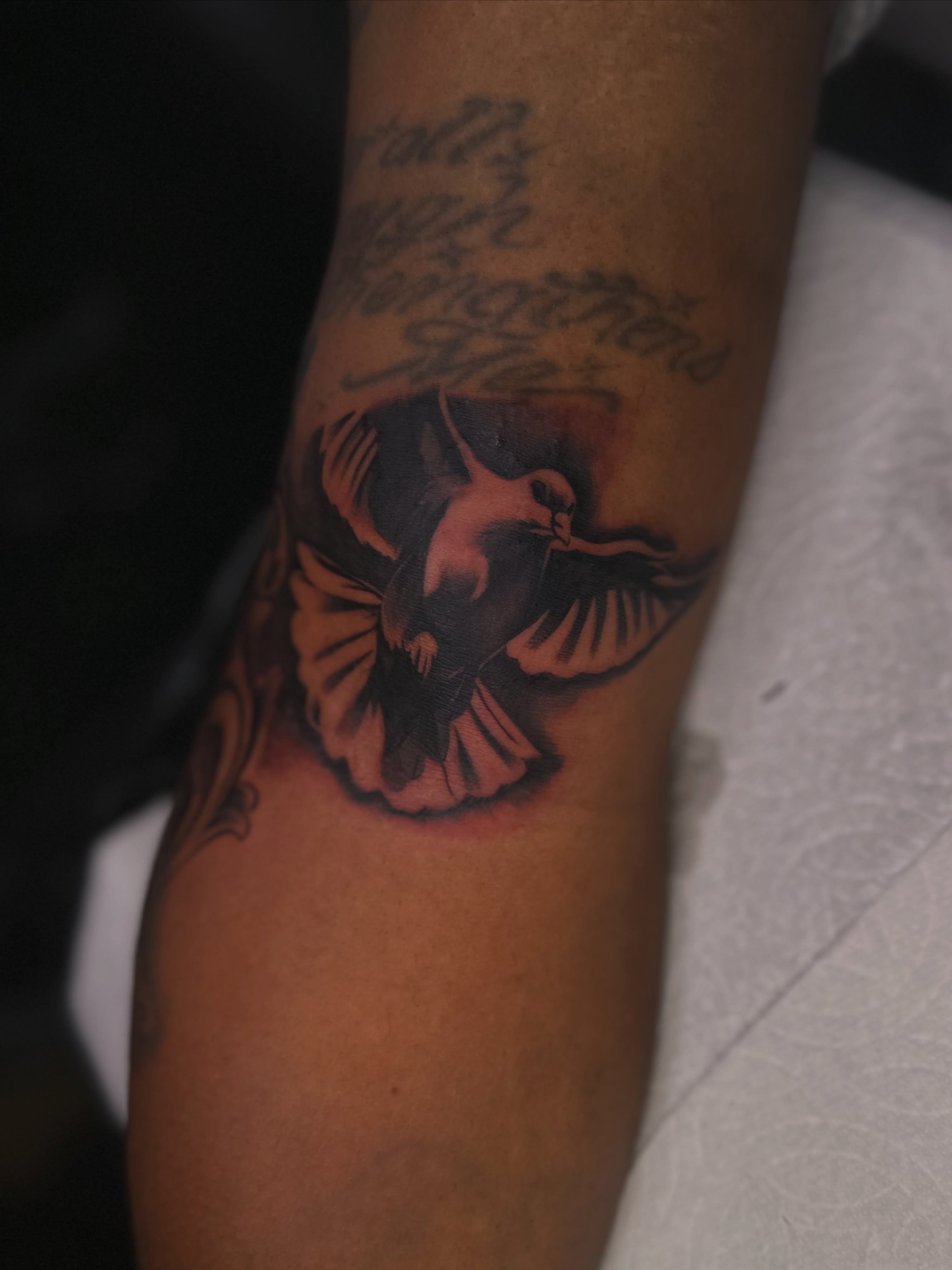 Bird black and grey tattoo on the forearm by Mando