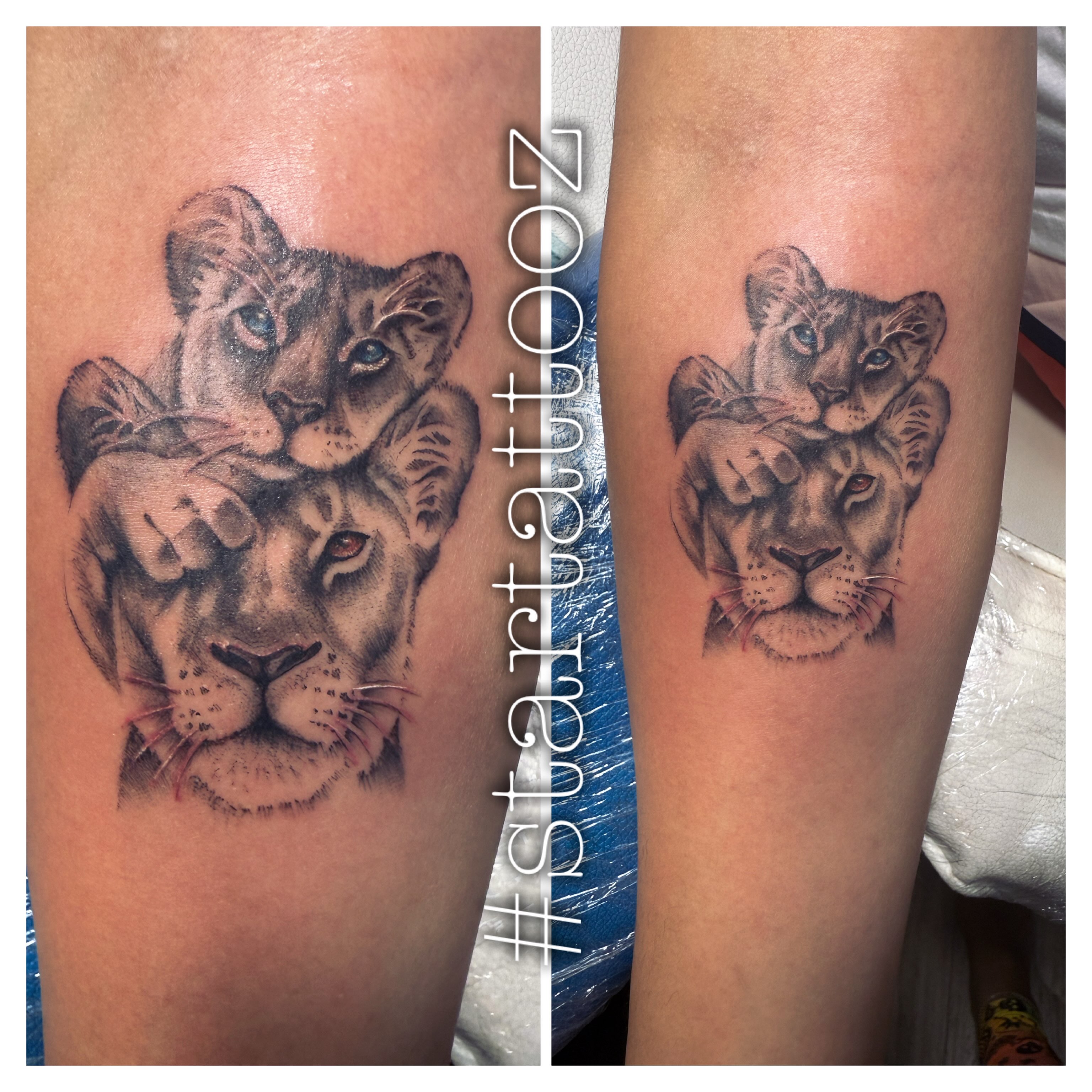 Lionesses realism tattoo on the forearm by StarTattooz - the one & only