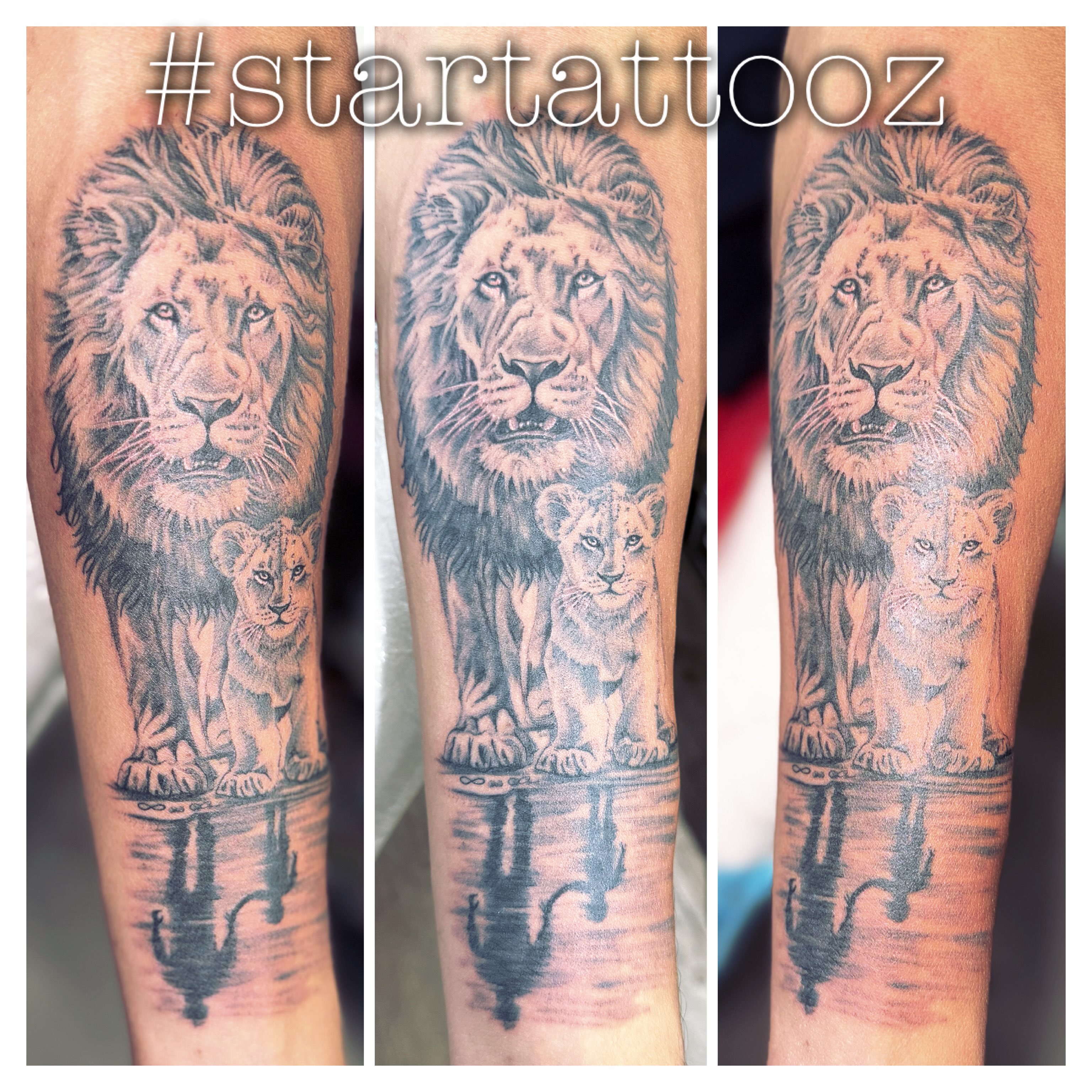 Lion family realism tattoo on the forearm by StarTattooz - the one & only