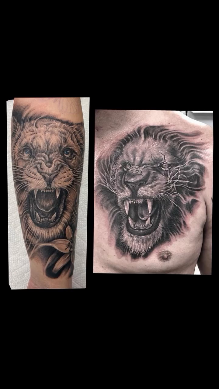 Lion and snake realism tattoo by Daniel Fisher, Berlin, New Jersey