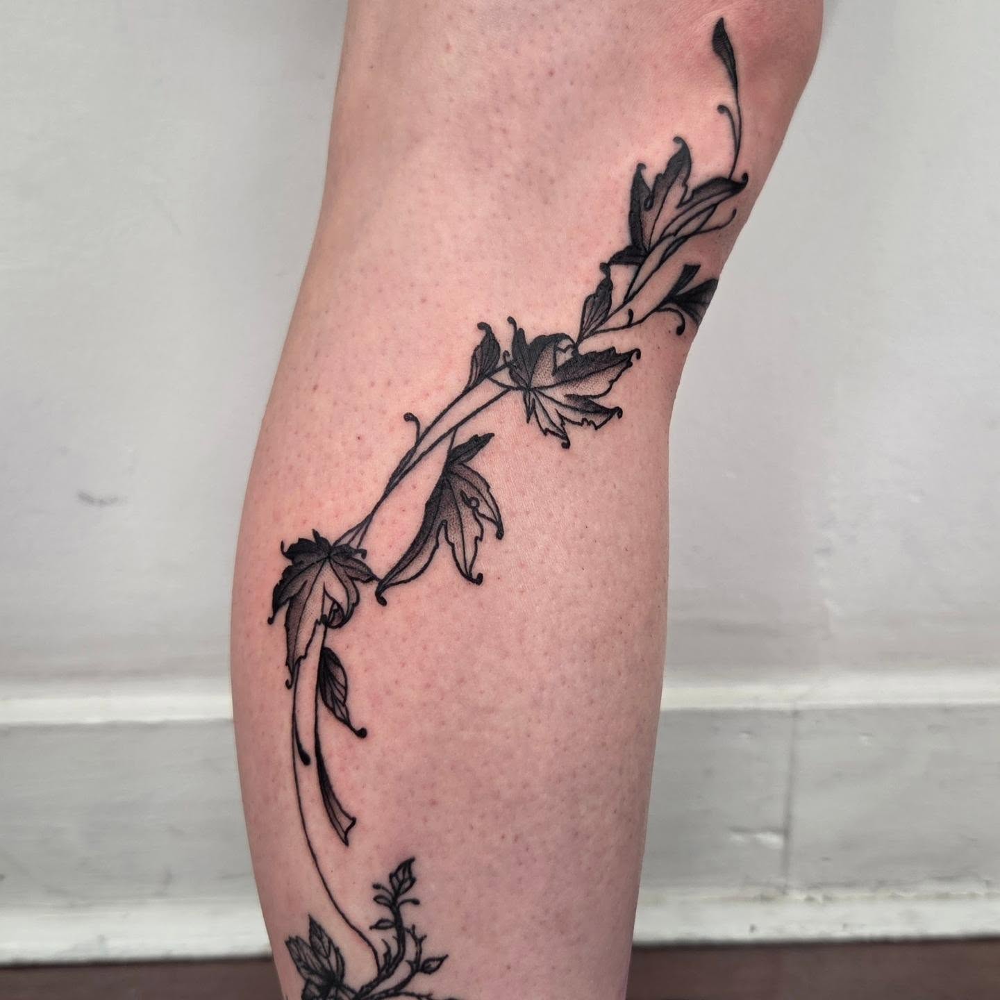 Leafy vine black and grey tattoo on the forearm by Payton