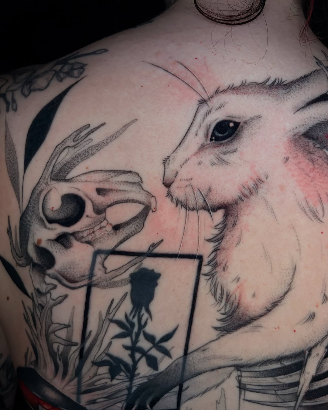Rabbit skull dotwork tattoo on the back by Sam chase, Naperville, Illinois