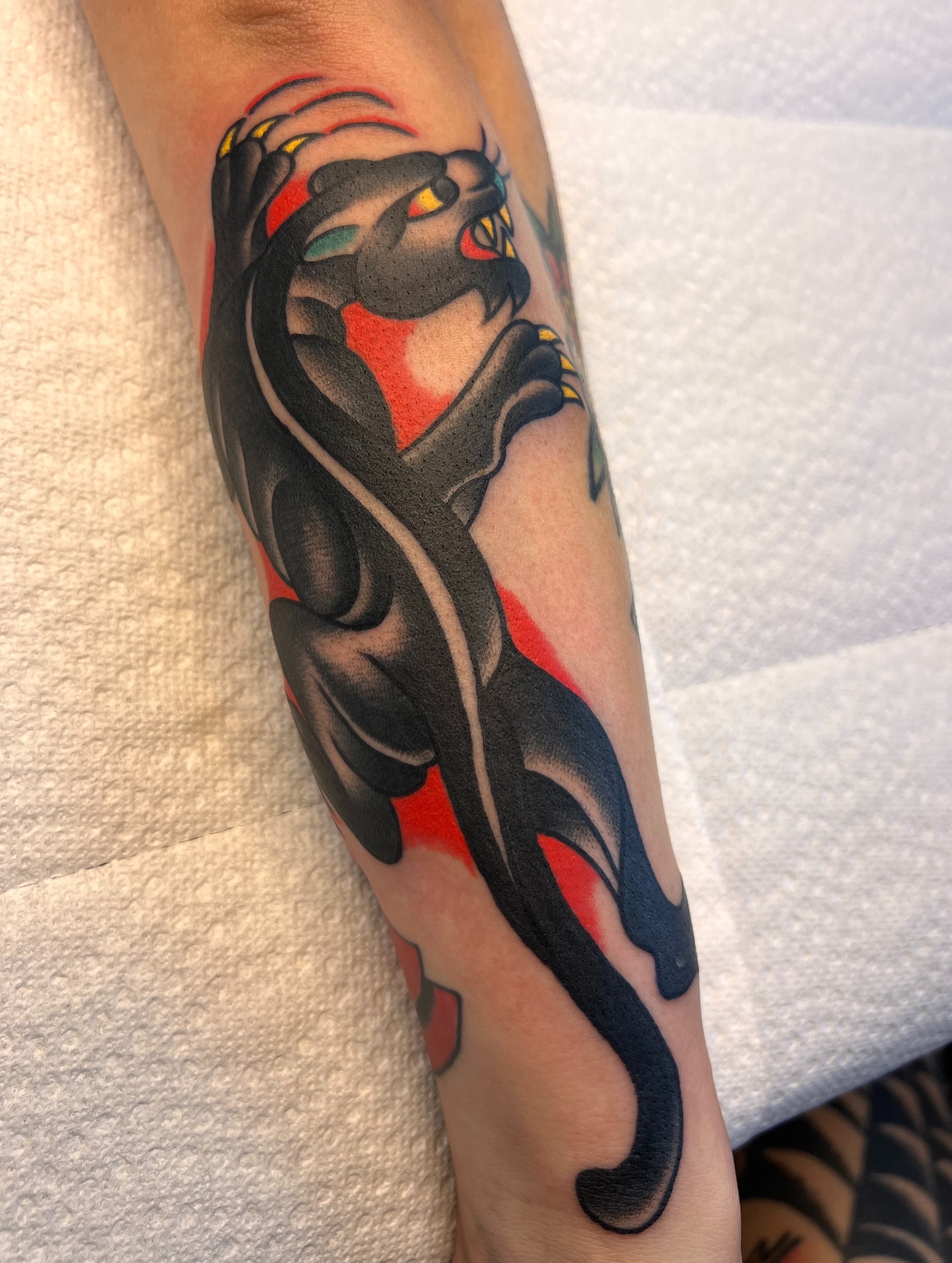Panther American traditional tattoo on the forearm by Zach Roman, Madison, Wisconsin