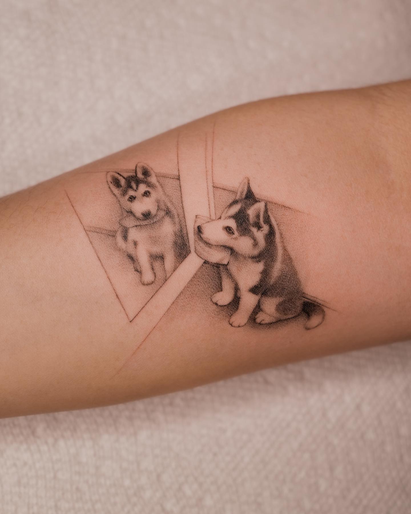 Husky dogs realism tattoo on the forearm by Jason Lu ✪