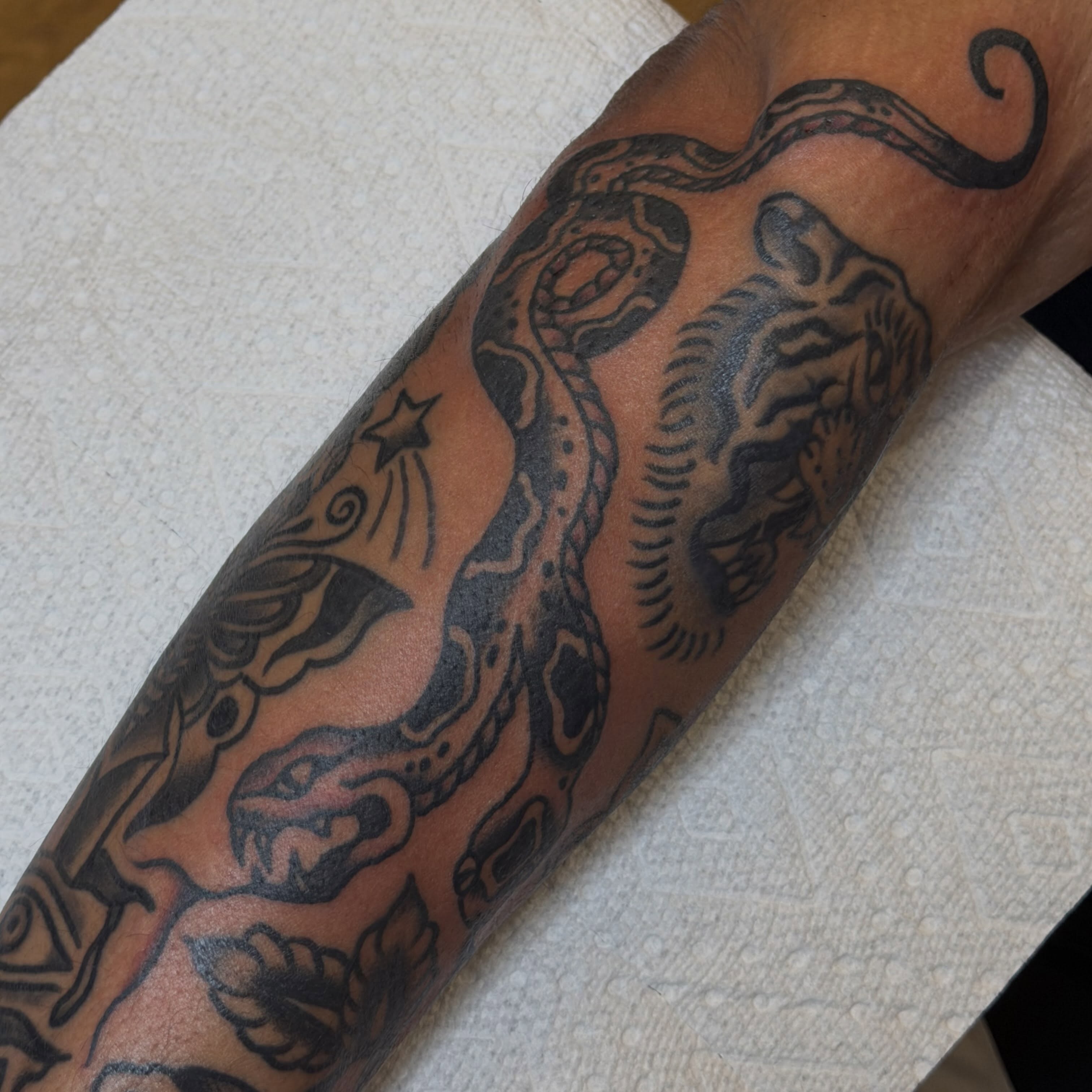 Snake and tiger American traditional tattoo on the forearm by 🩸 𝓢𝔂𝓵𝓿𝓲𝓮 🩸 ▪︎ 𝕯𝖊𝖓𝖛𝖊𝖗 𝕿𝖆𝖙𝖙𝖔𝖔𝖊𝖗 ▪︎