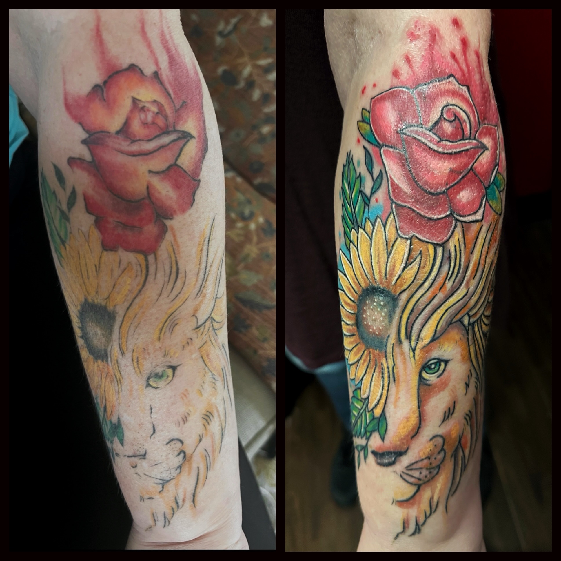 Lion and sunflower American traditional tattoo on the forearm by Anthony Guido