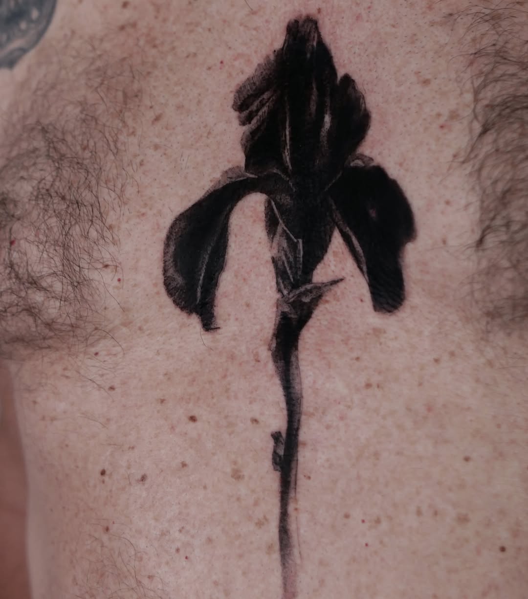 Flower black and grey tattoo on the chest by Mané, Portland, Oregon
