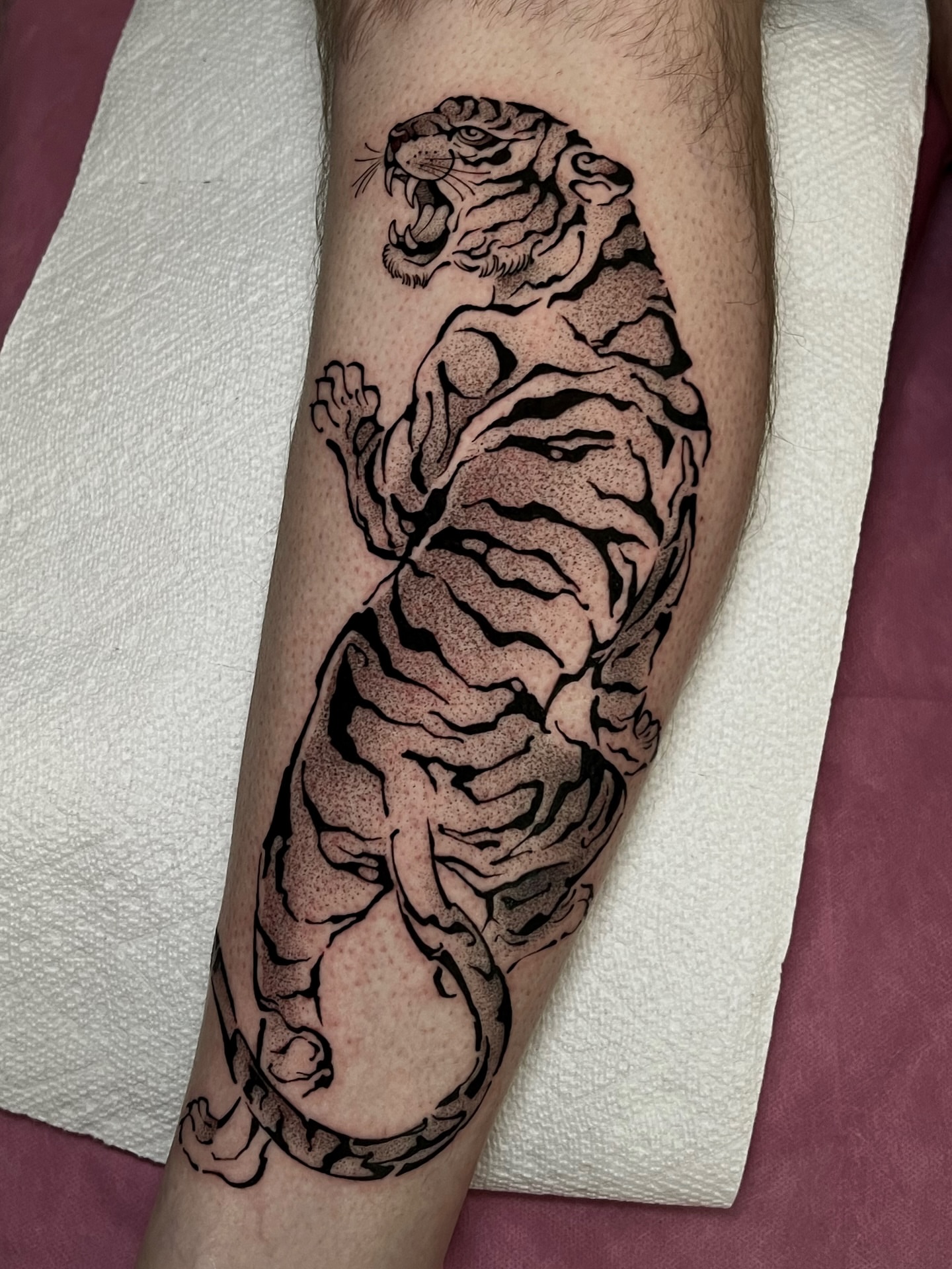 Tiger dotwork tattoo on the forearm by Tehnaya