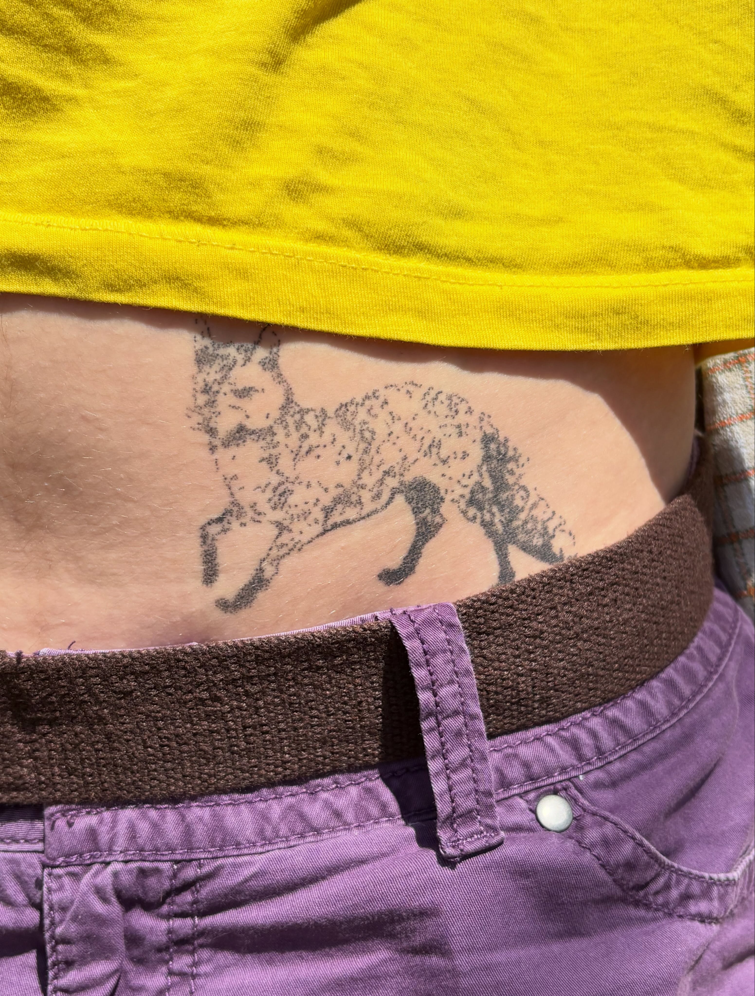 Fox dotwork tattoo on the torso by Jill