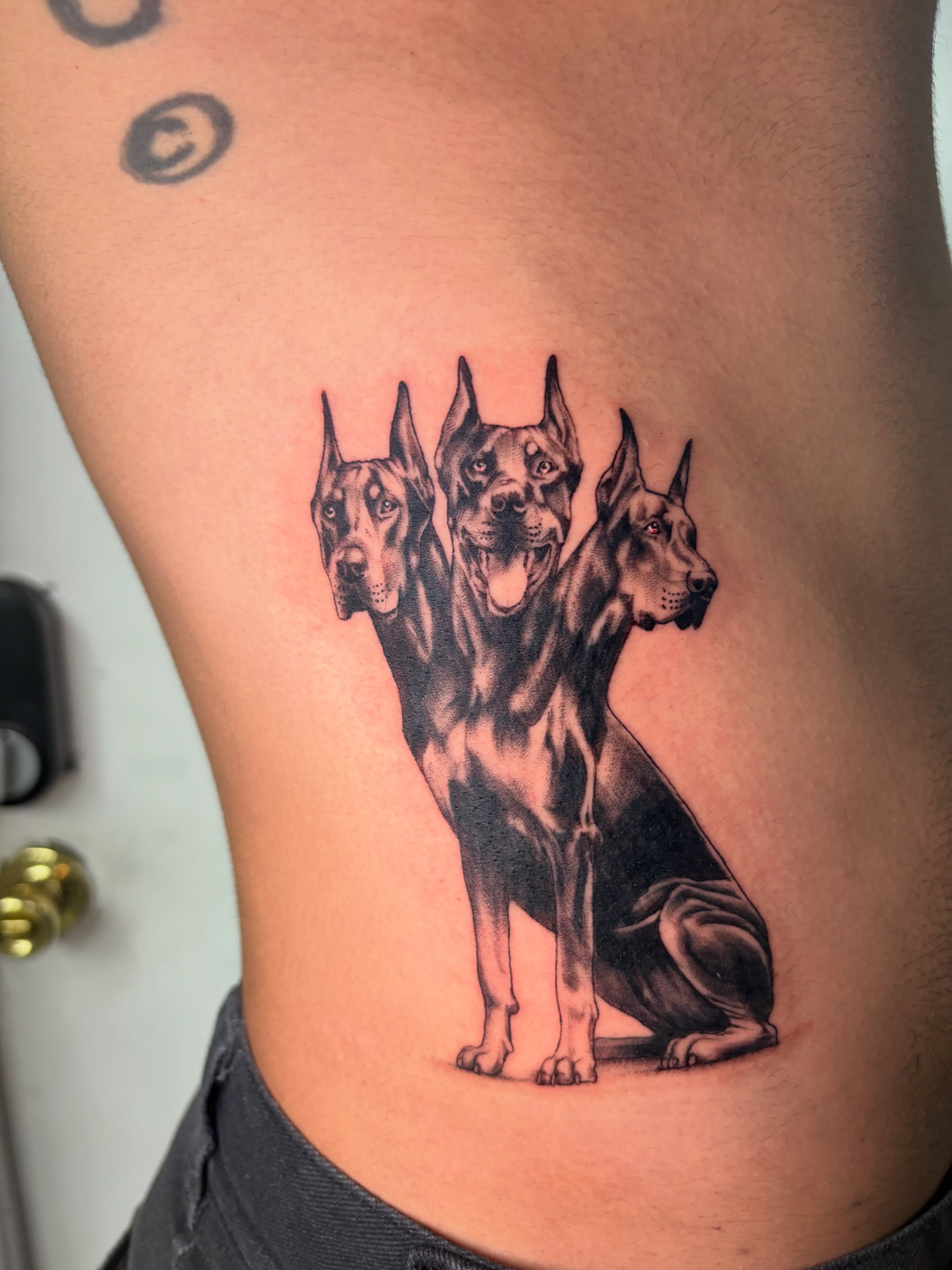 Dogs realism tattoo on the ribs by Tattoos by Tessa